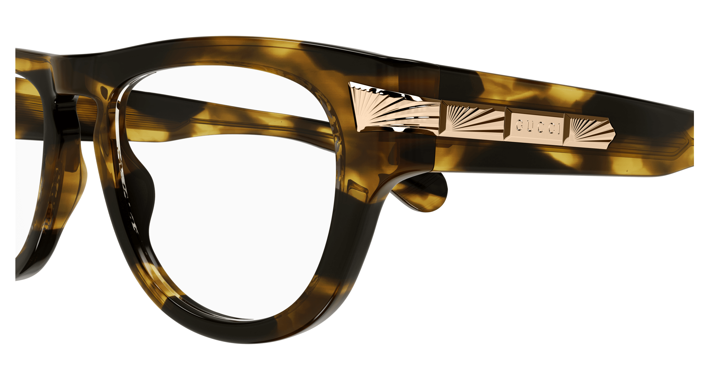 Havana Eyeglasses Gucci 889652469386