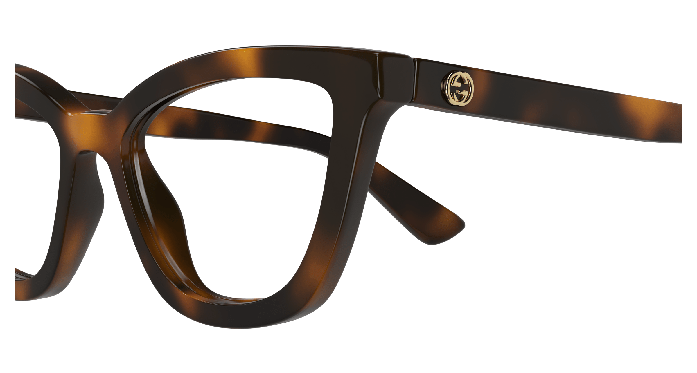 Havana Eyeglasses Gucci 889652498225