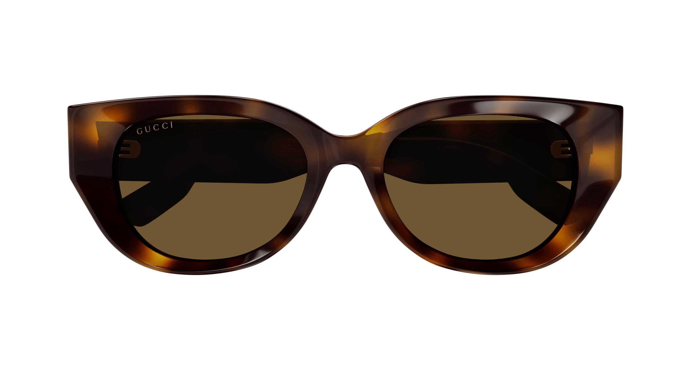 Havana Sunglasses Gucci 889652473451