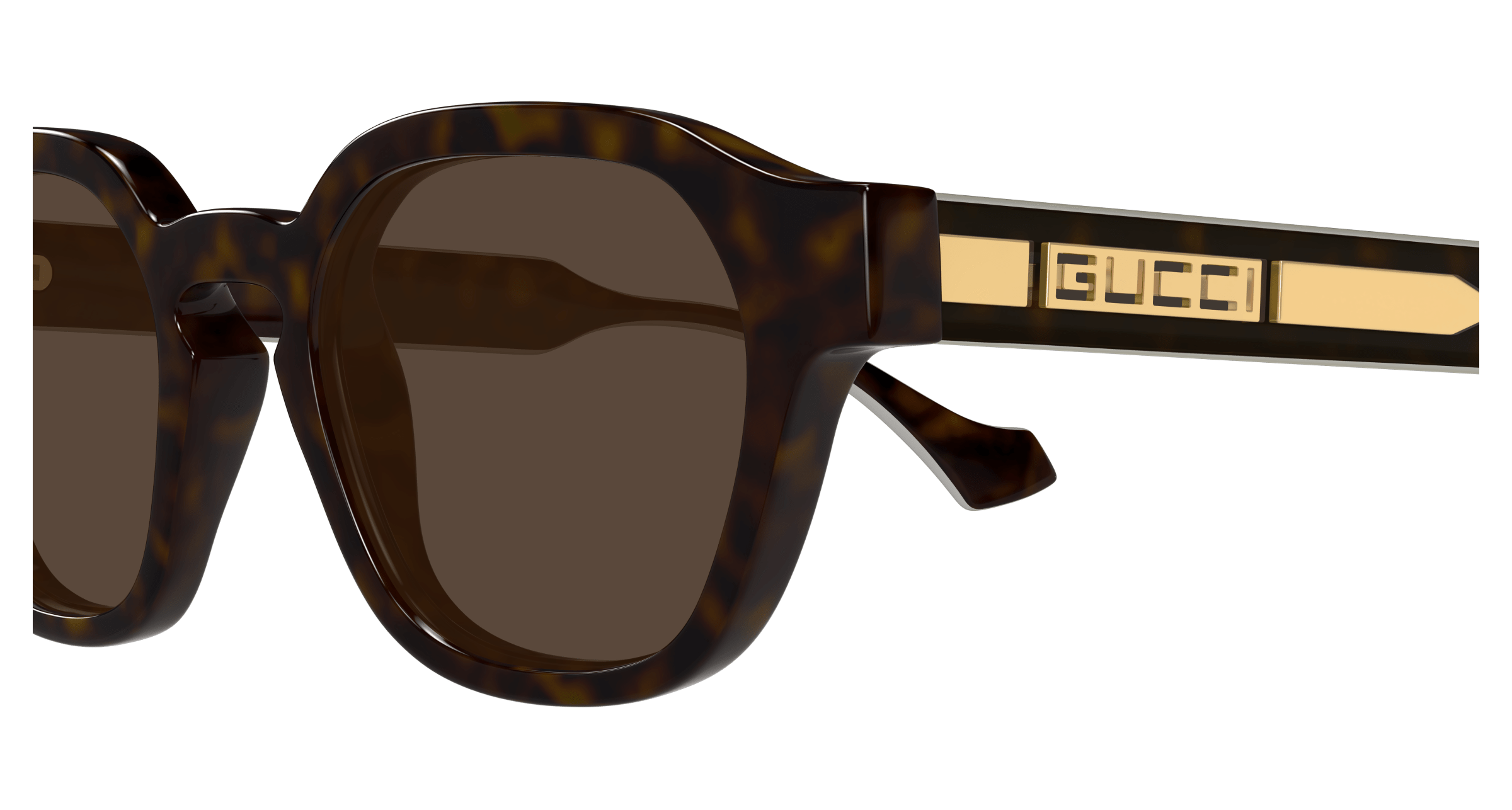 Havana Sunglasses Gucci 889652499246