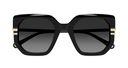 Chloe CH0240S Sunglasses 889652483009