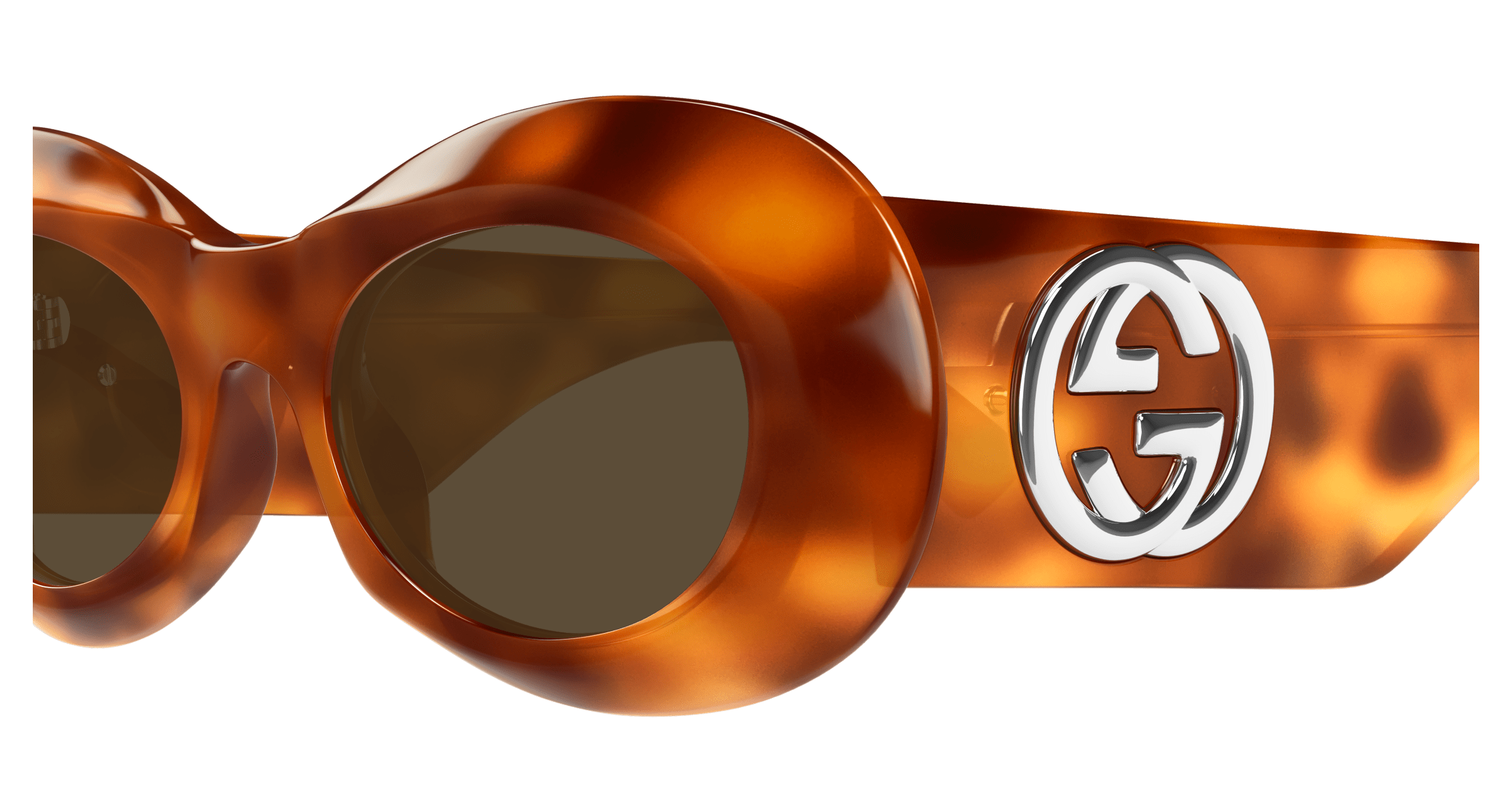 Havana Sunglasses Gucci 889652499574