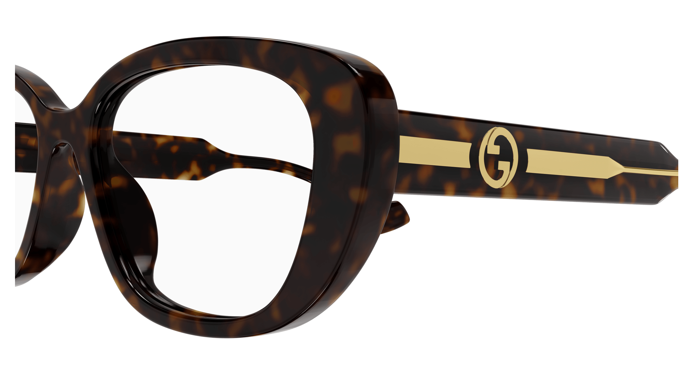 Havana Eyeglasses Gucci 889652473093