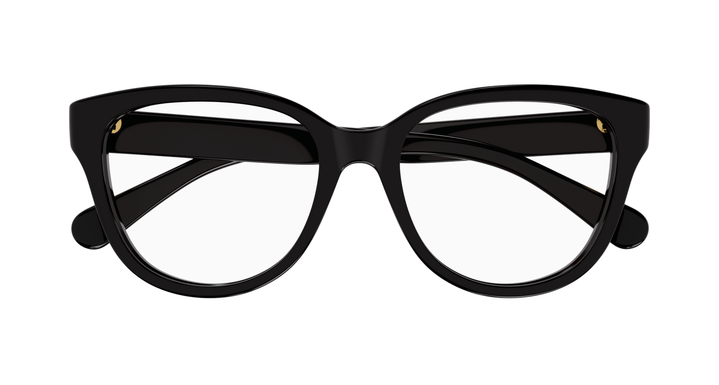 Chloe CH0243O Eyeglasses 889652484587