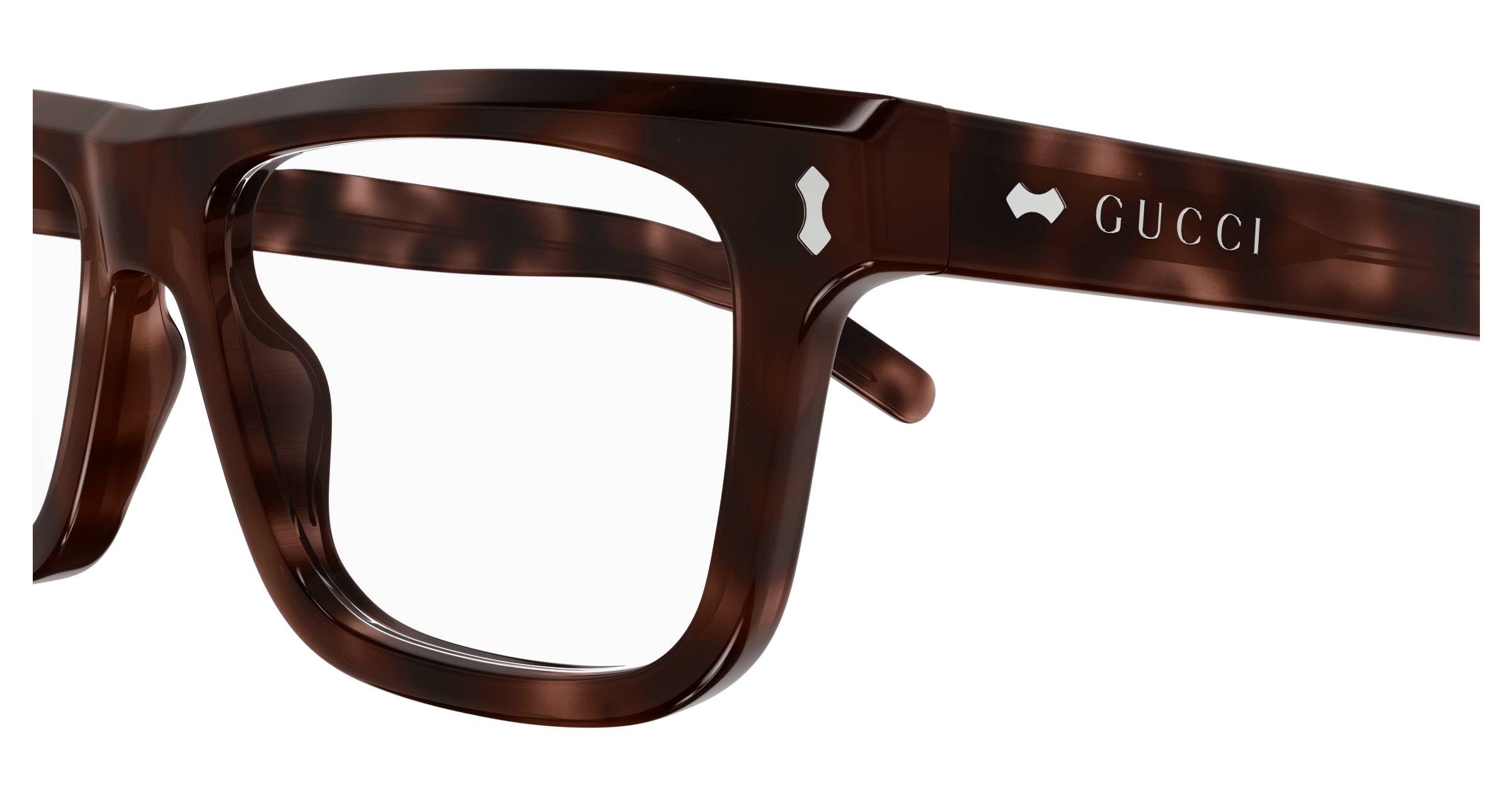 Havana Eyeglasses Gucci 889652467504