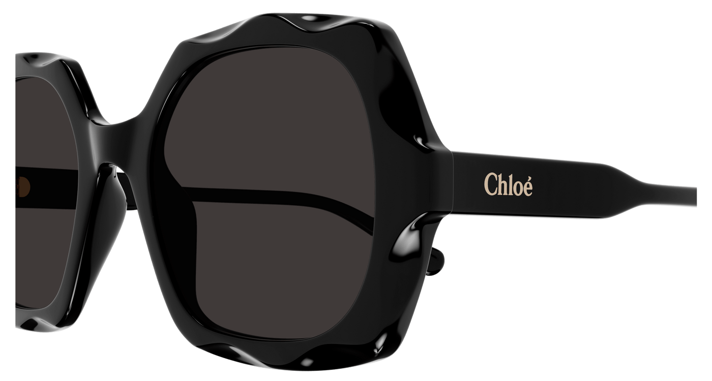 Chloe CH0226S Sunglasses 889652514130