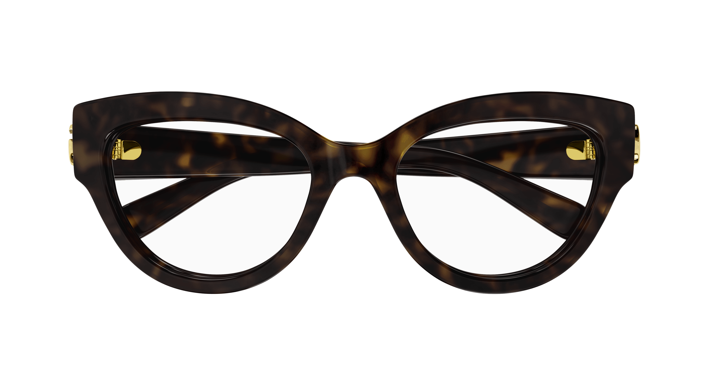 Havana Eyeglasses Gucci 889652468518