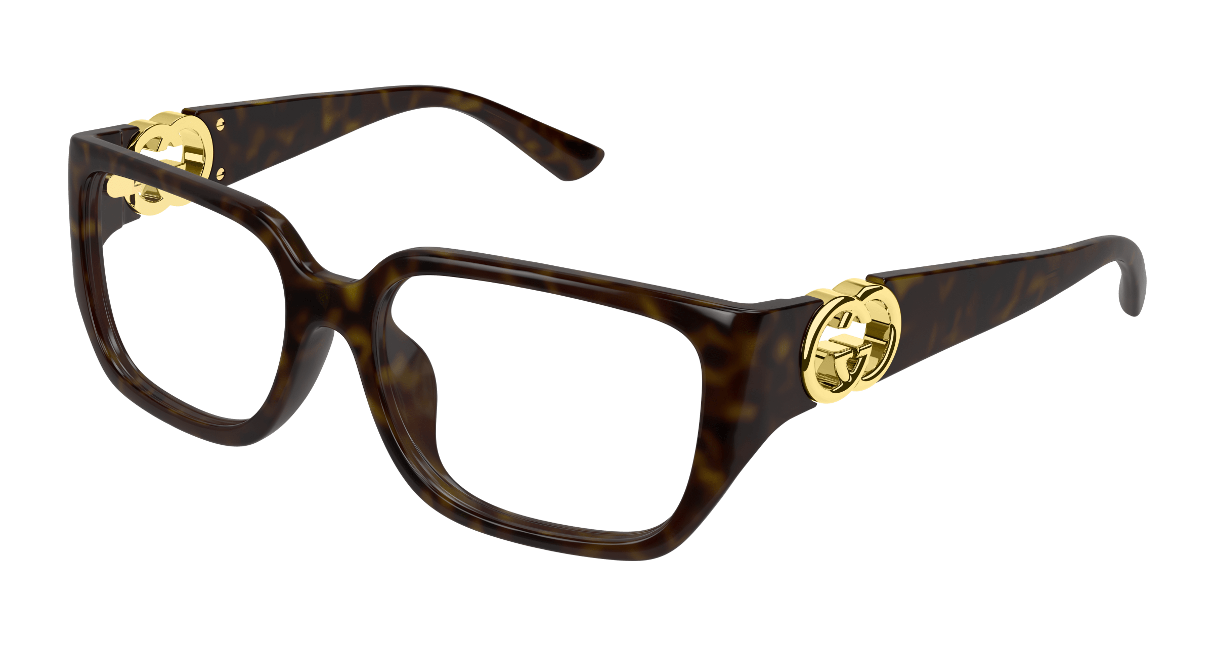 Havana Eyeglasses Gucci 889652501987