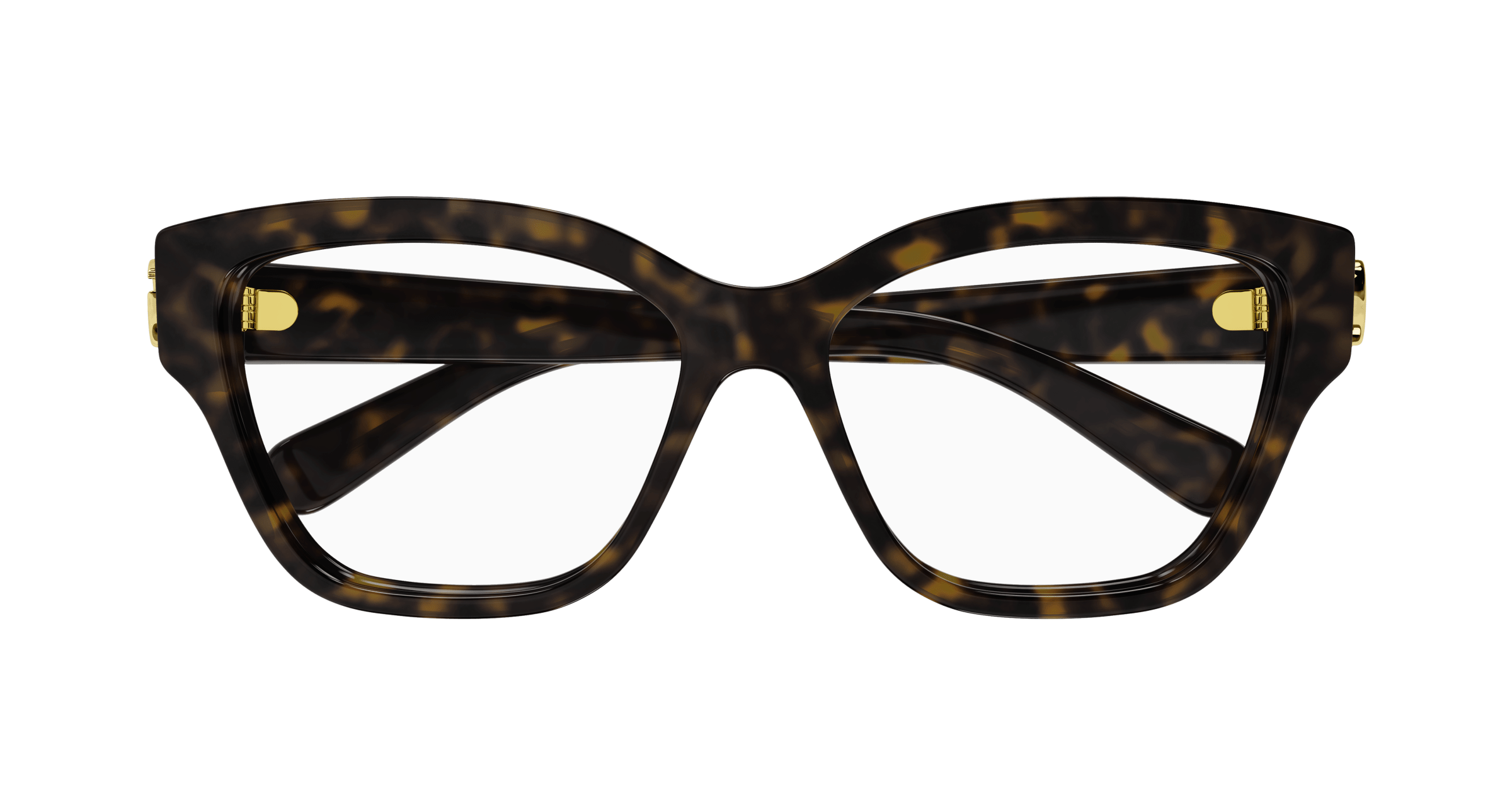 Havana Eyeglasses Gucci 889652468488