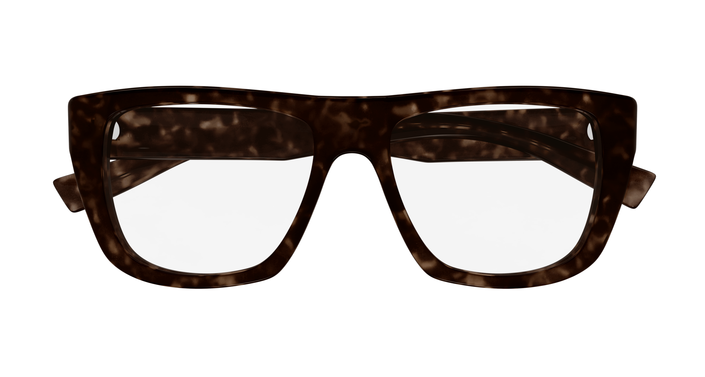 Havana Eyeglasses Saint Laurent 889652516103