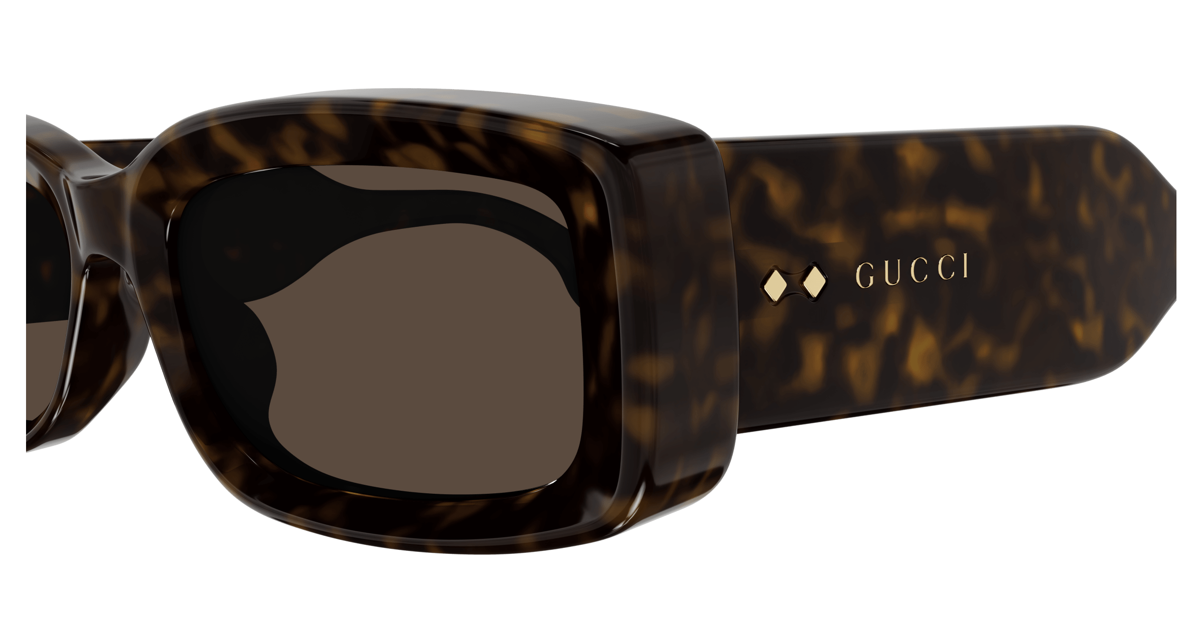 Havana Sunglasses Gucci 889652467078