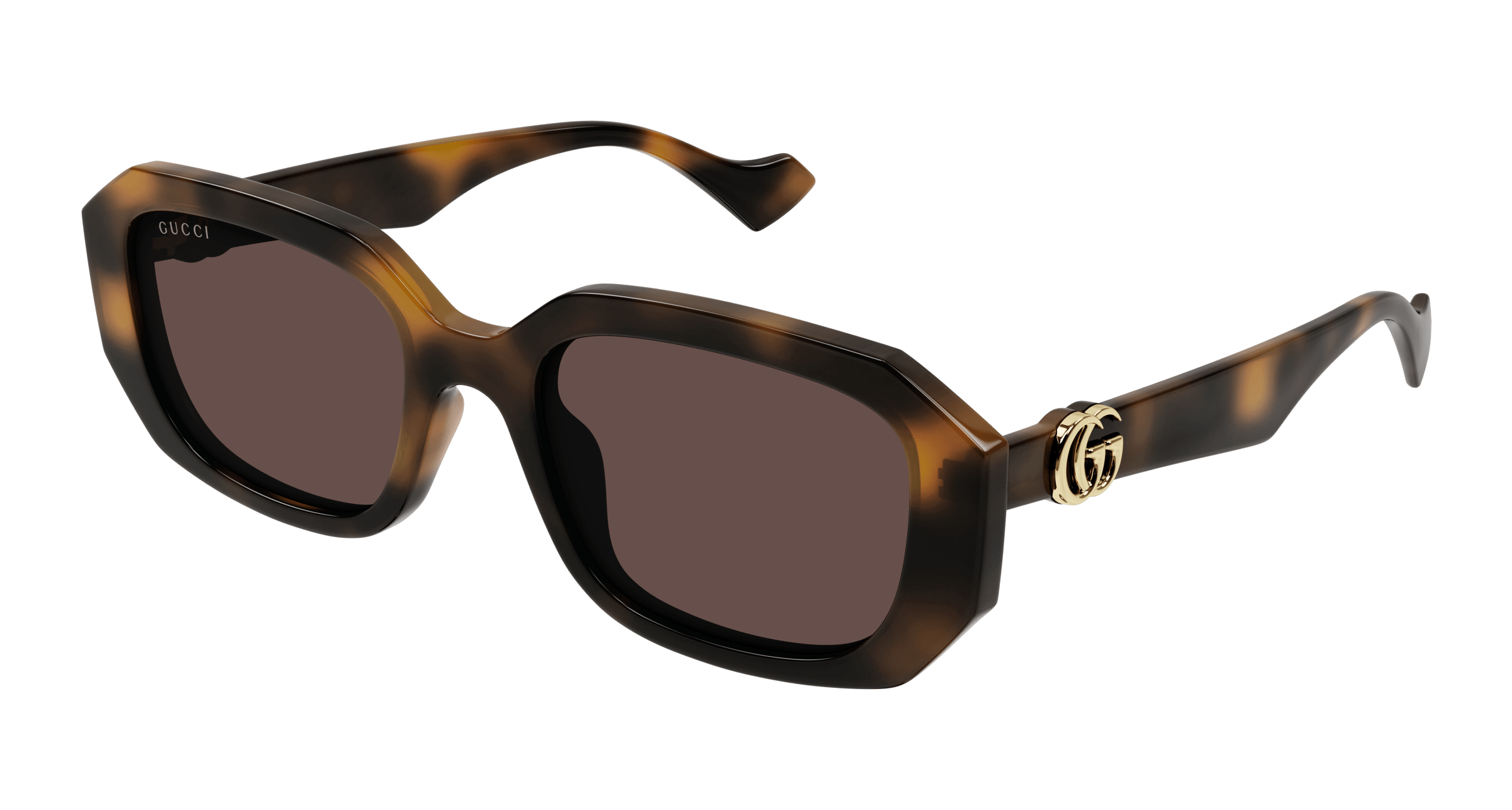 Havana Sunglasses Gucci 889652468235