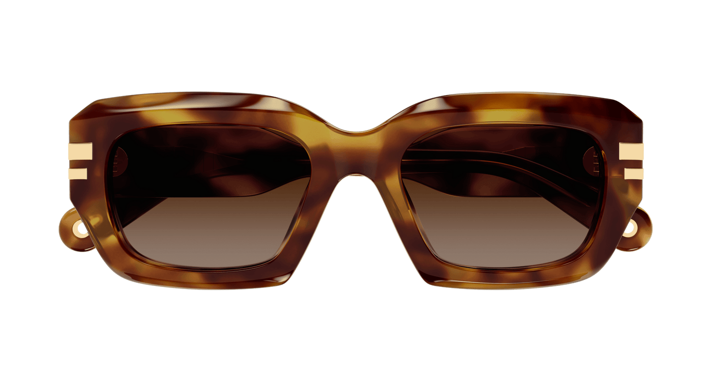 Chloe CH0256S Sunglasses 889652514697