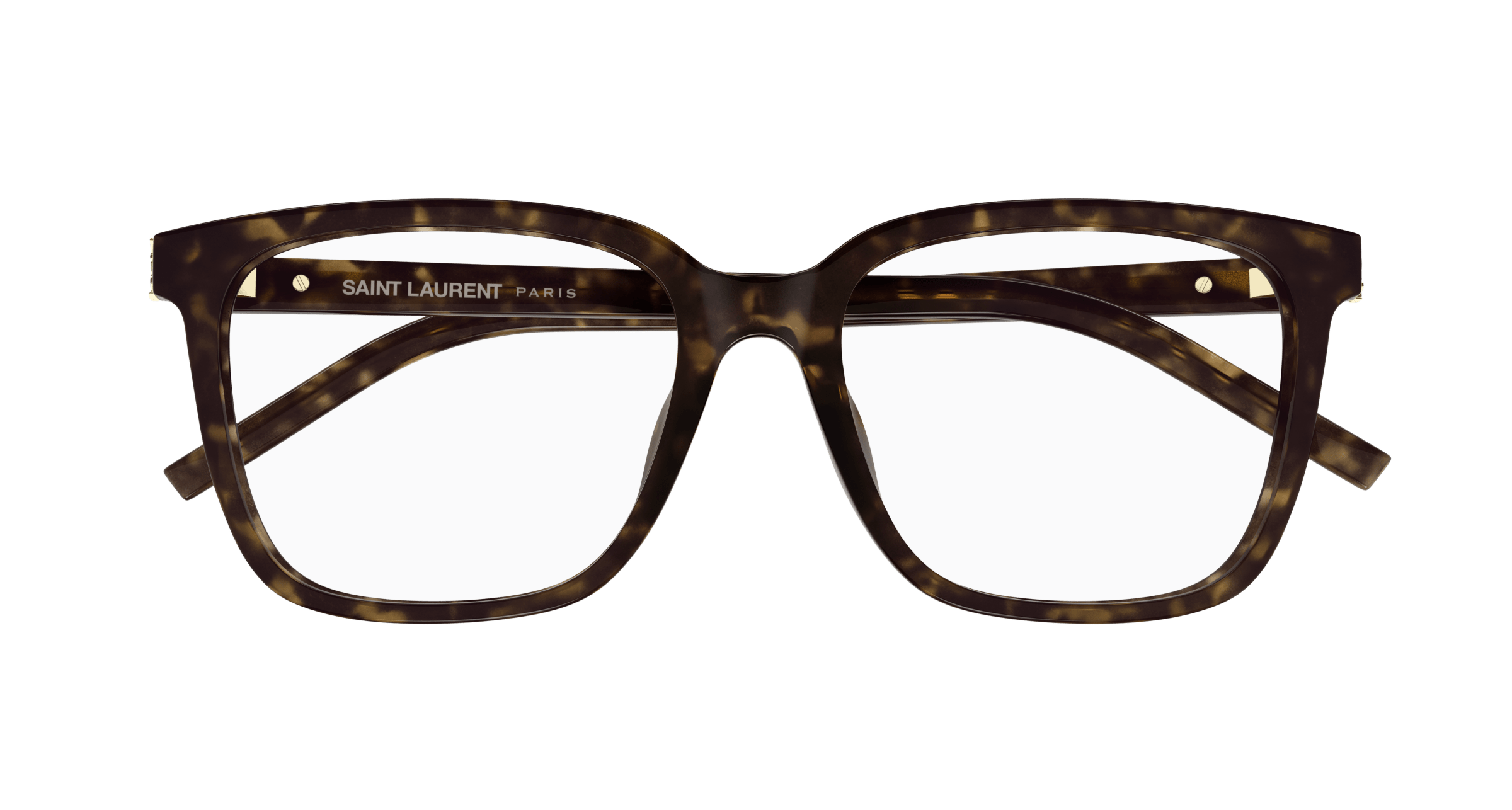 Havana Eyeglasses Saint Laurent 889652517193