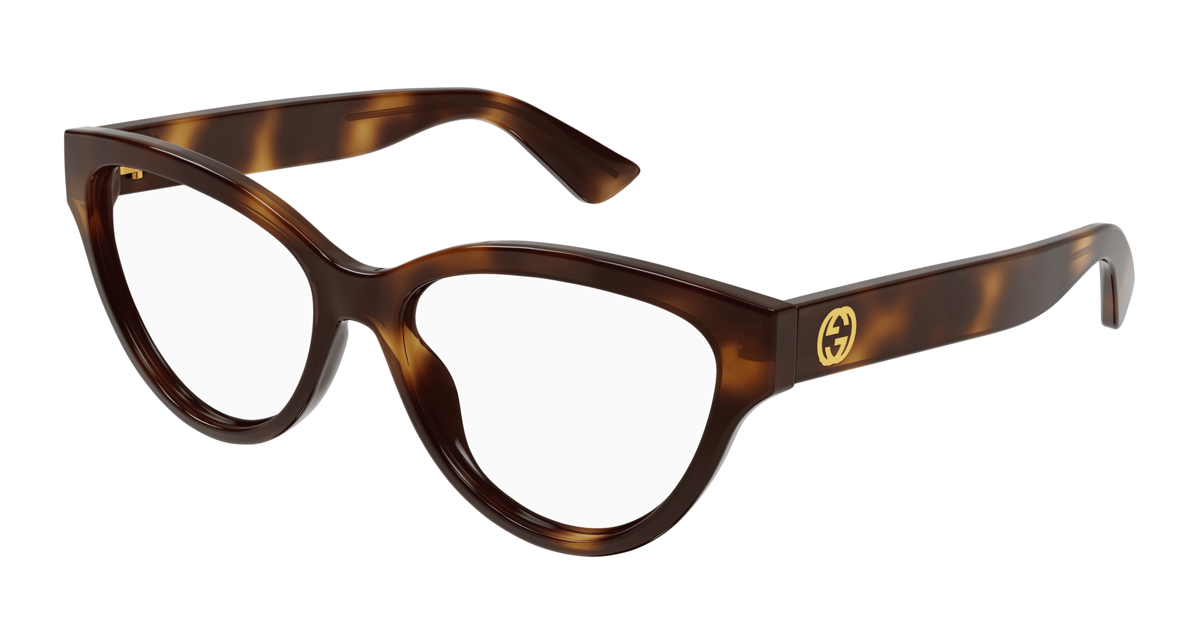 Havana Eyeglasses Gucci 889652468402