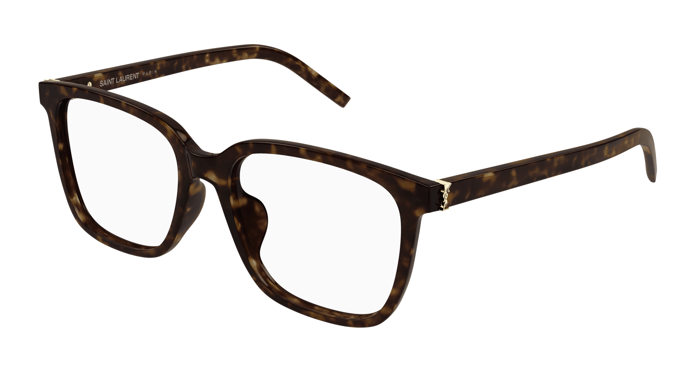 Saint Laurent SL M142/F Havana 889652517193