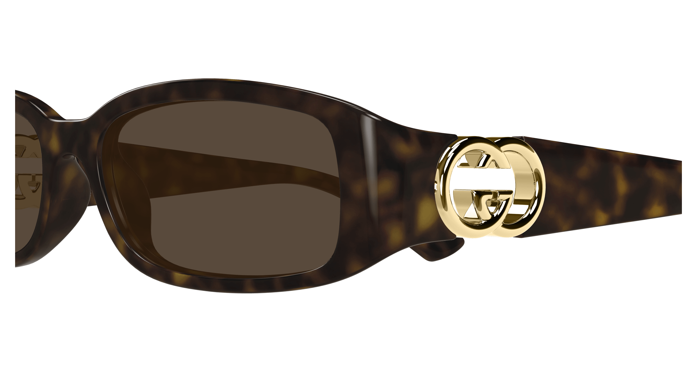 Havana Sunglasses Gucci 889652494883