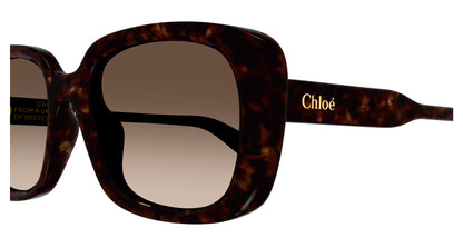 Chloe CH0225SK Sunglasses 889652481180