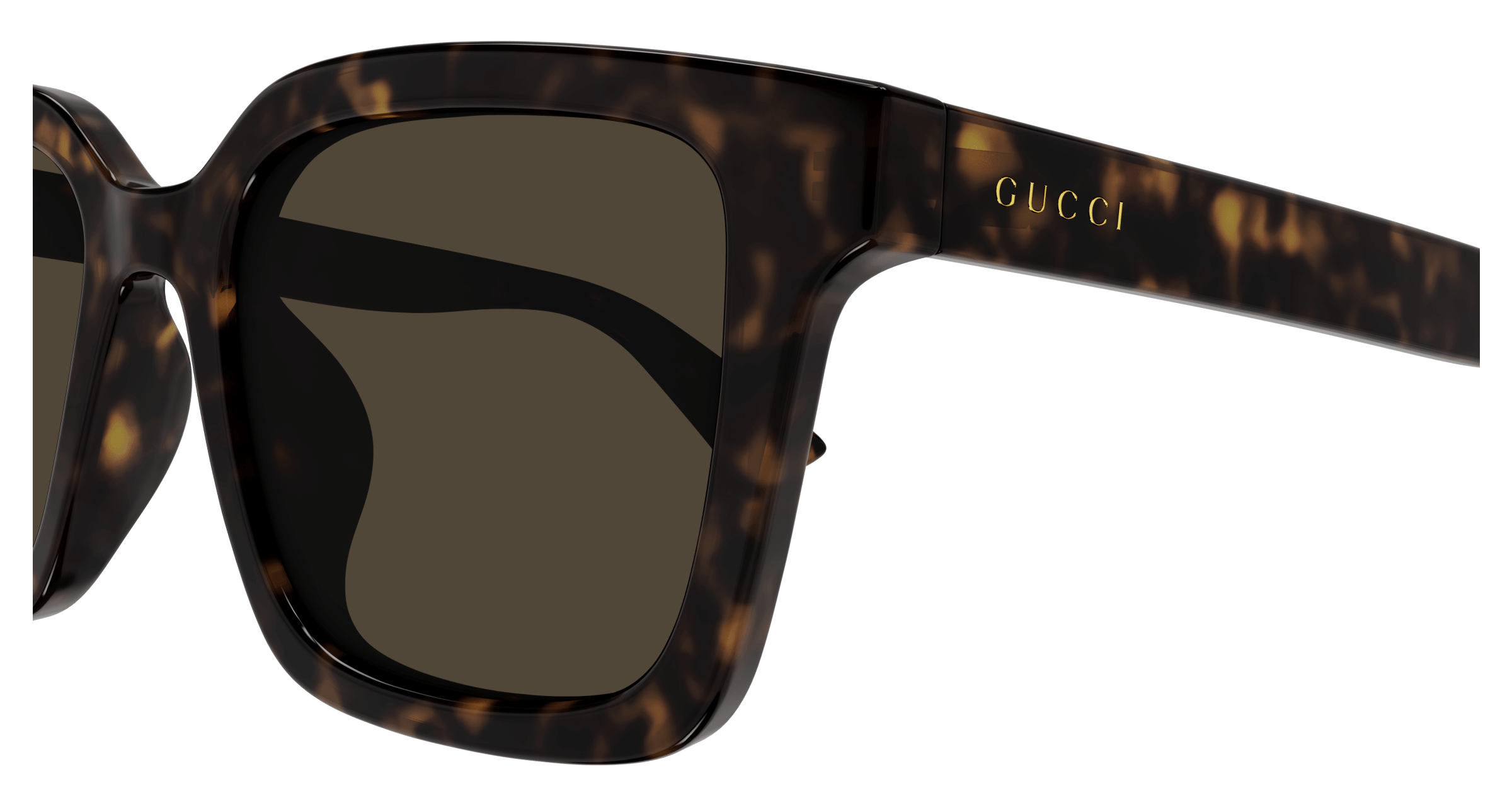 Havana Sunglasses Gucci 889652473161