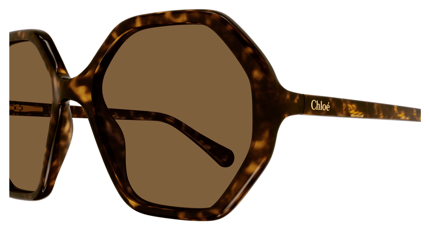 Chloe CC0004S Sunglasses 889652488370