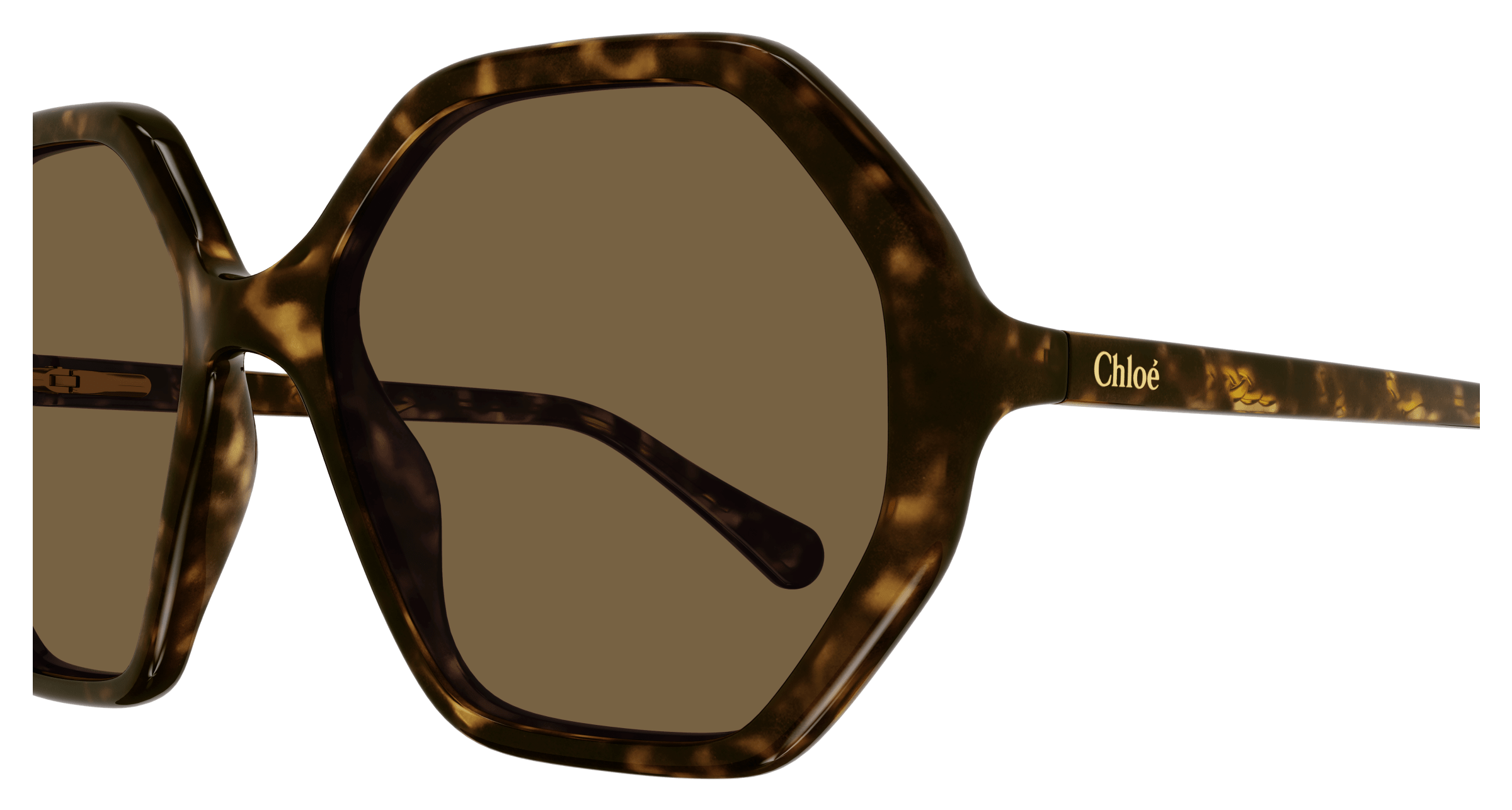 Chloe CC0004S Sunglasses 889652488370