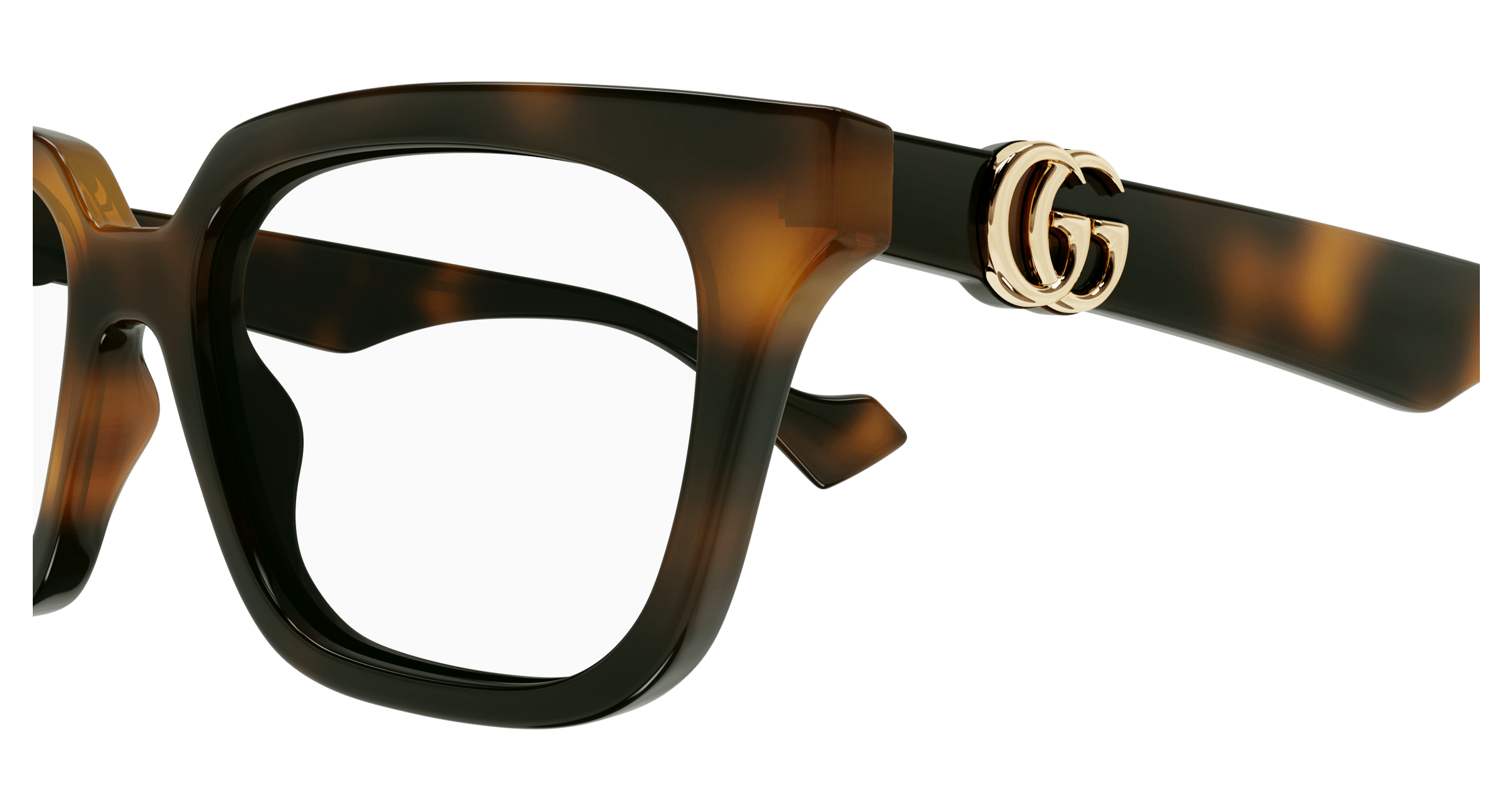 Gucci GG1536O Havana 889652472188
