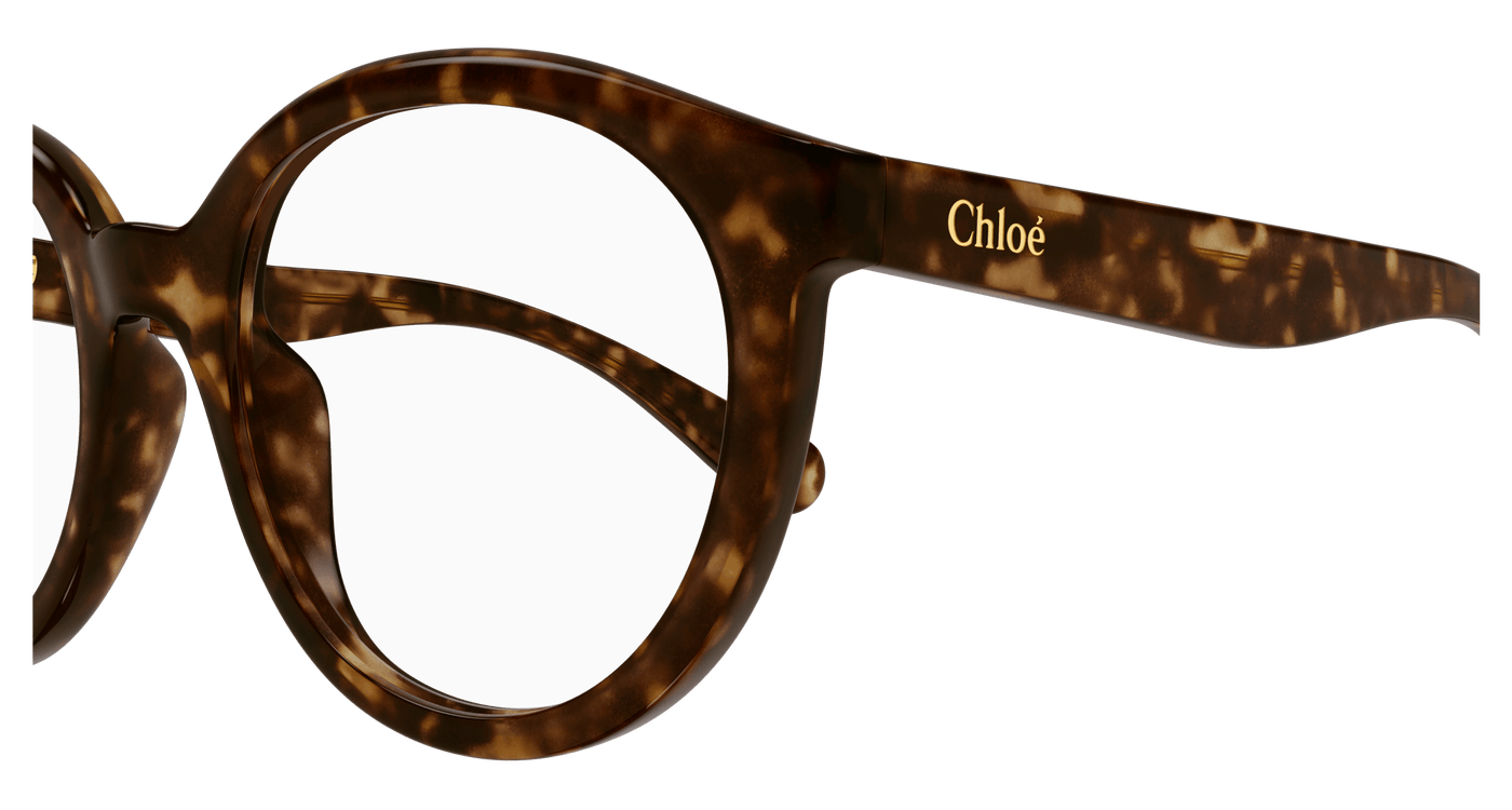 Chloe CC0022O Eyeglasses 889652484761