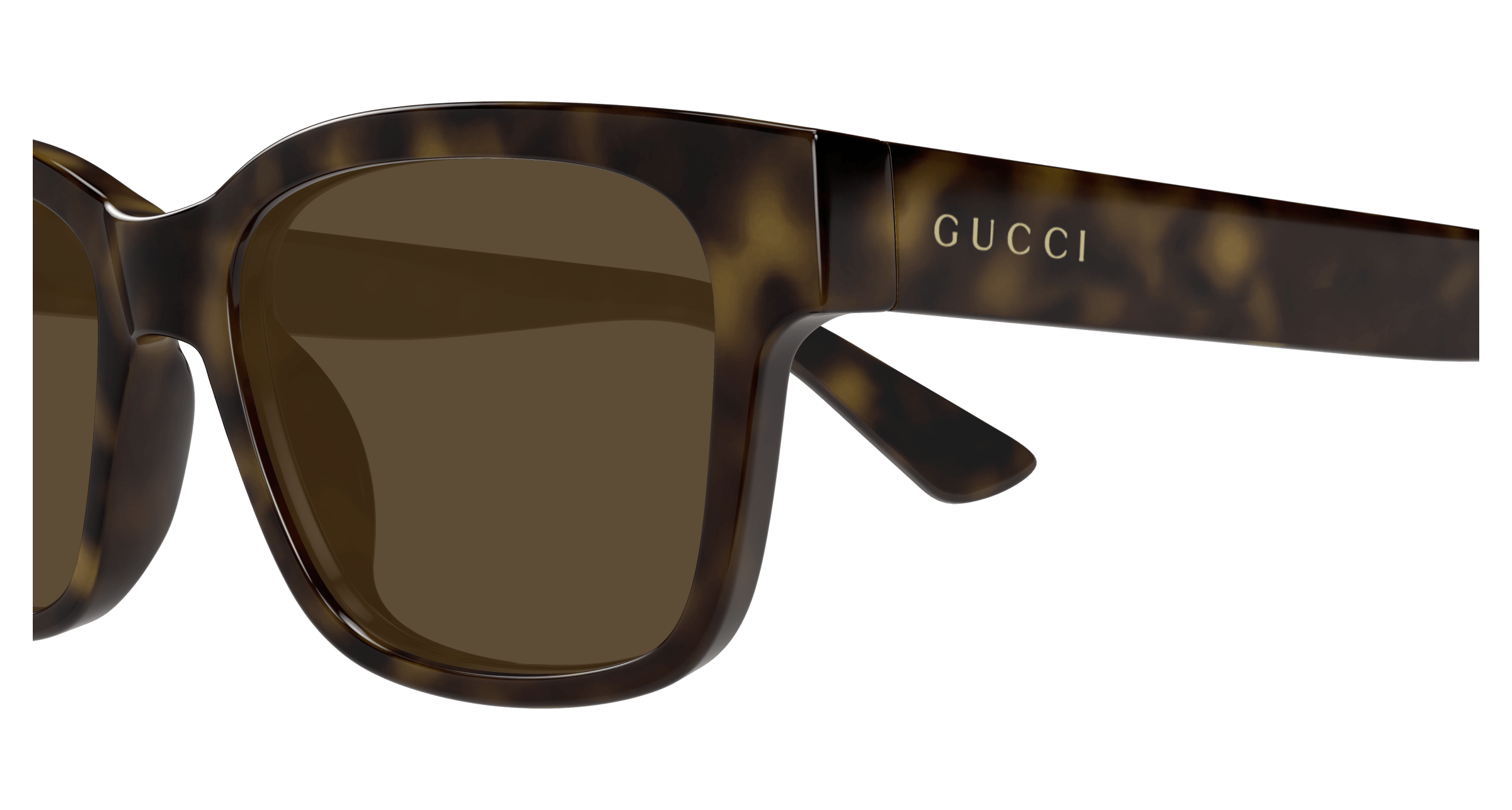 Havana Sunglasses Gucci 889652502748