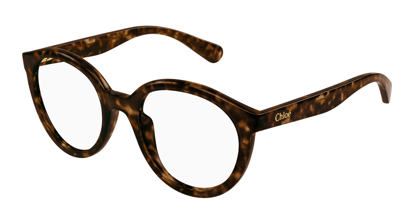 Chloe CC0022O Eyeglasses 889652484761