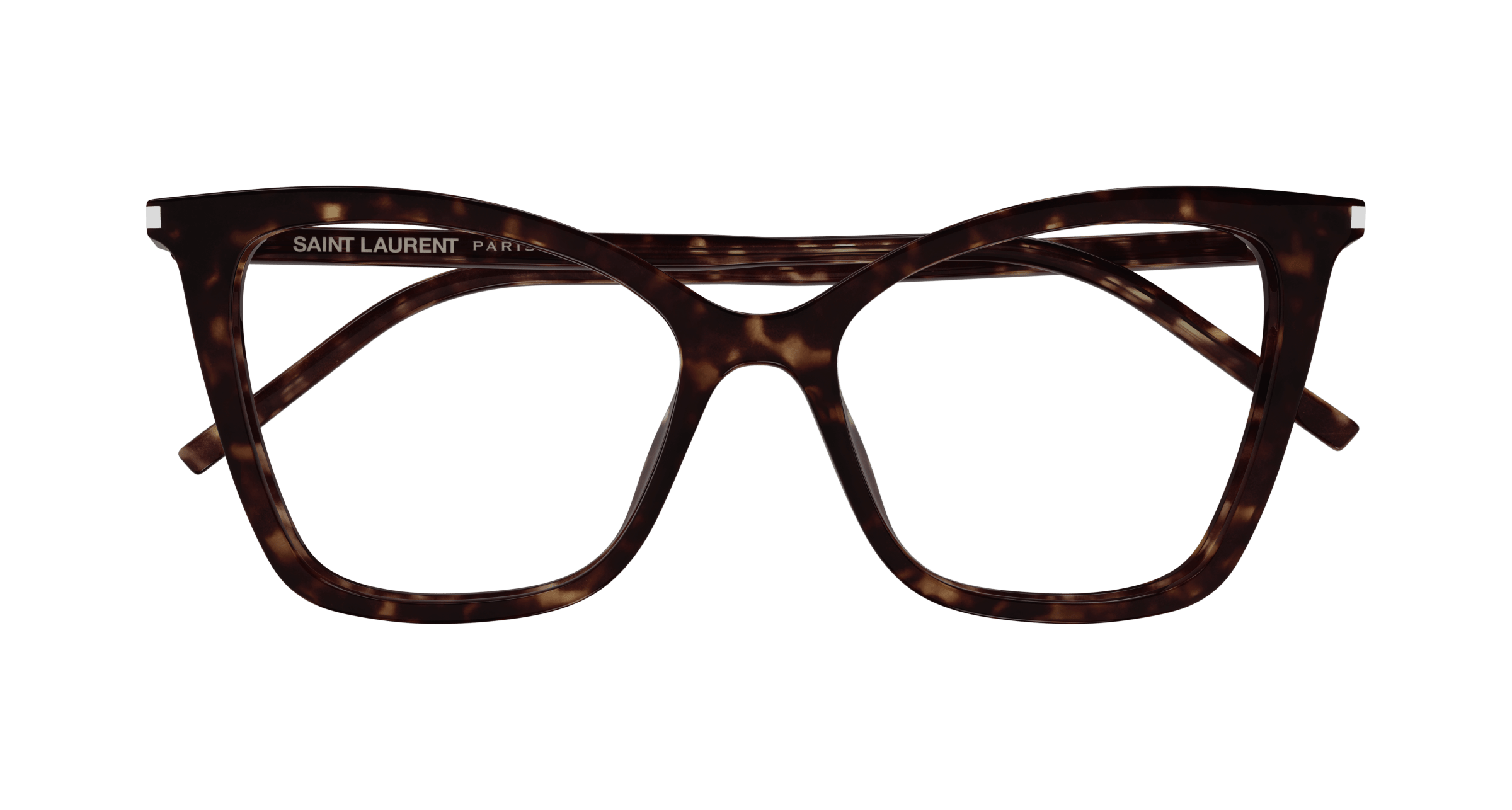 Havana Eyeglasses Saint Laurent 889652521992