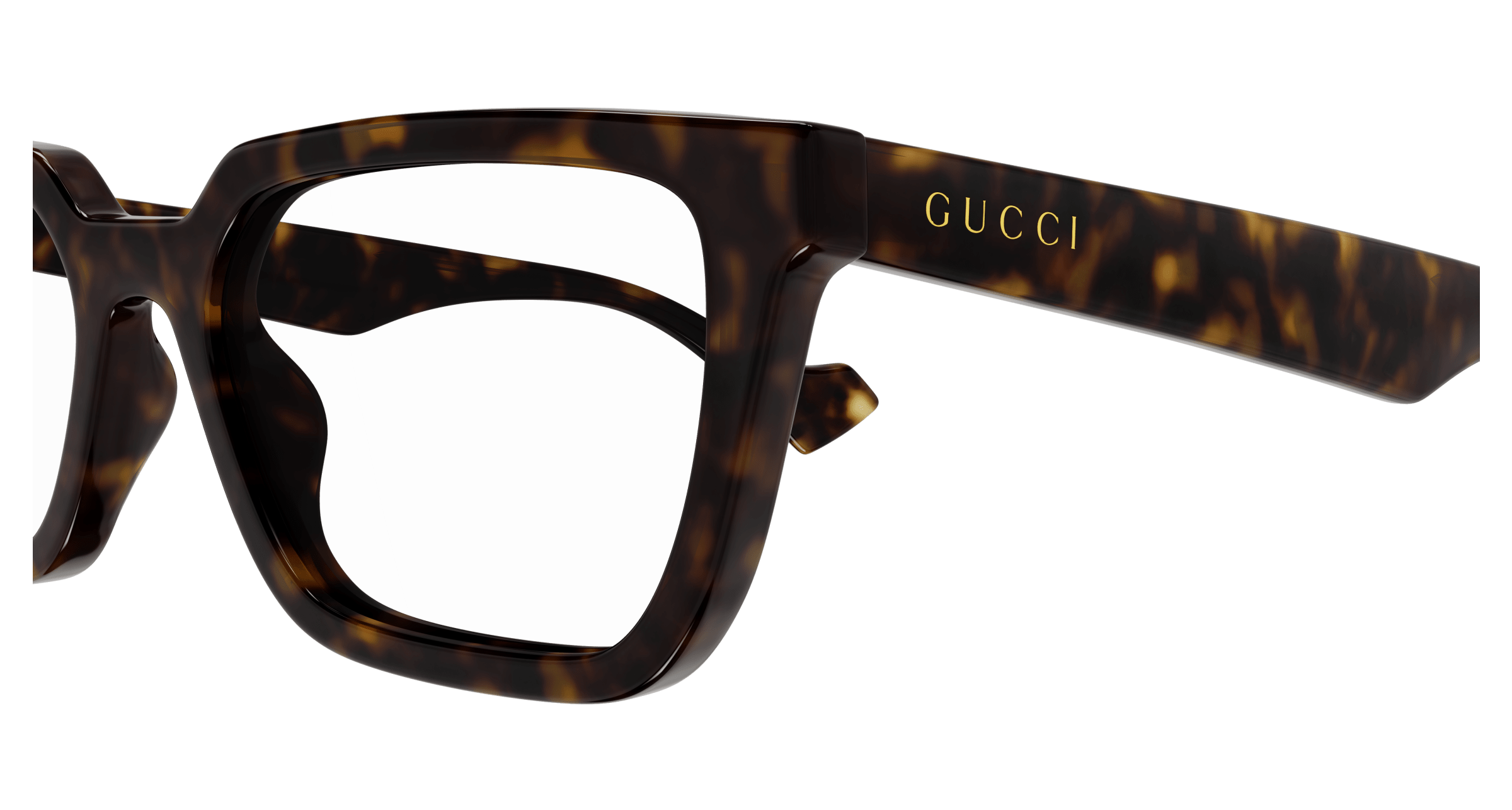 Havana Eyeglasses Gucci 889652467870