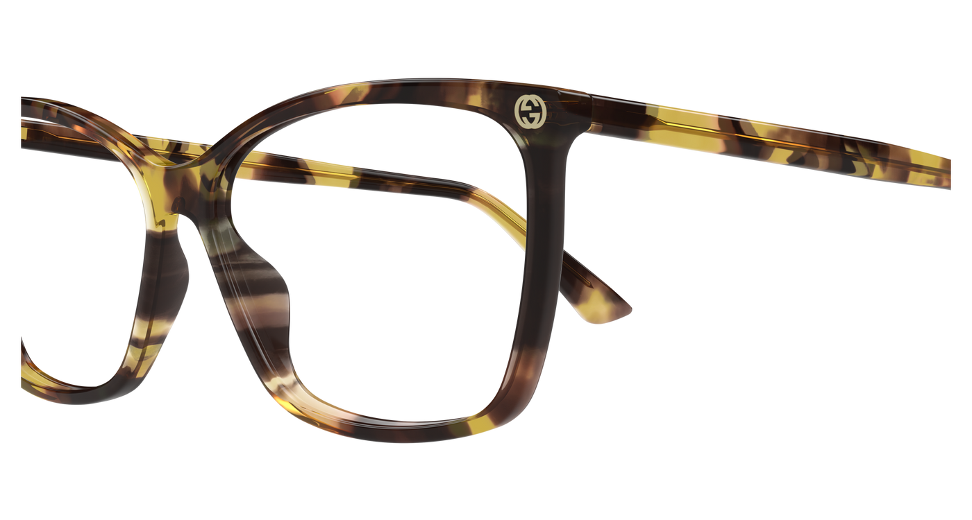 Gucci GG0025O Havana 889652501512