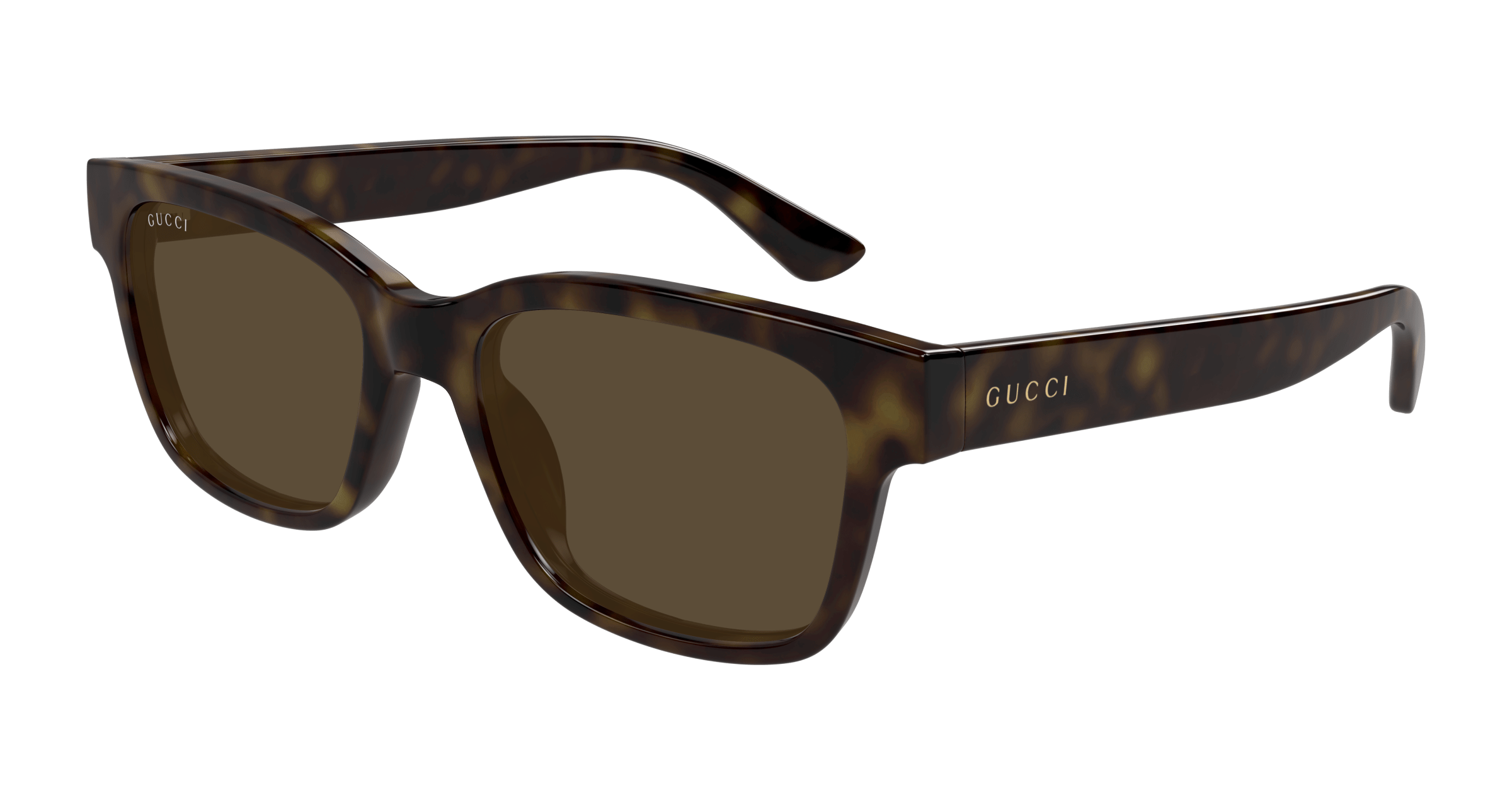 Havana Sunglasses Gucci 889652502748