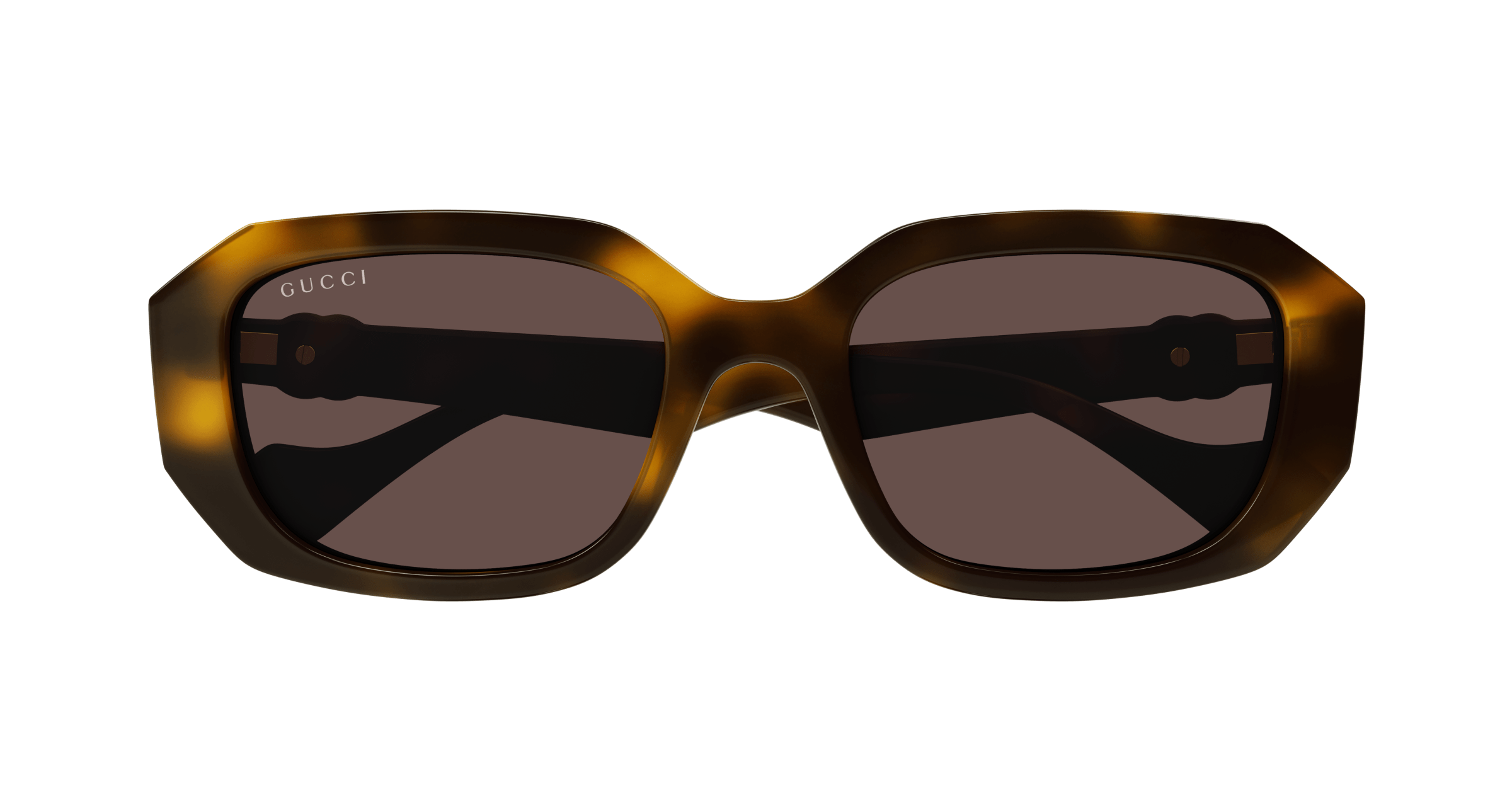 Havana Sunglasses Gucci 889652468235