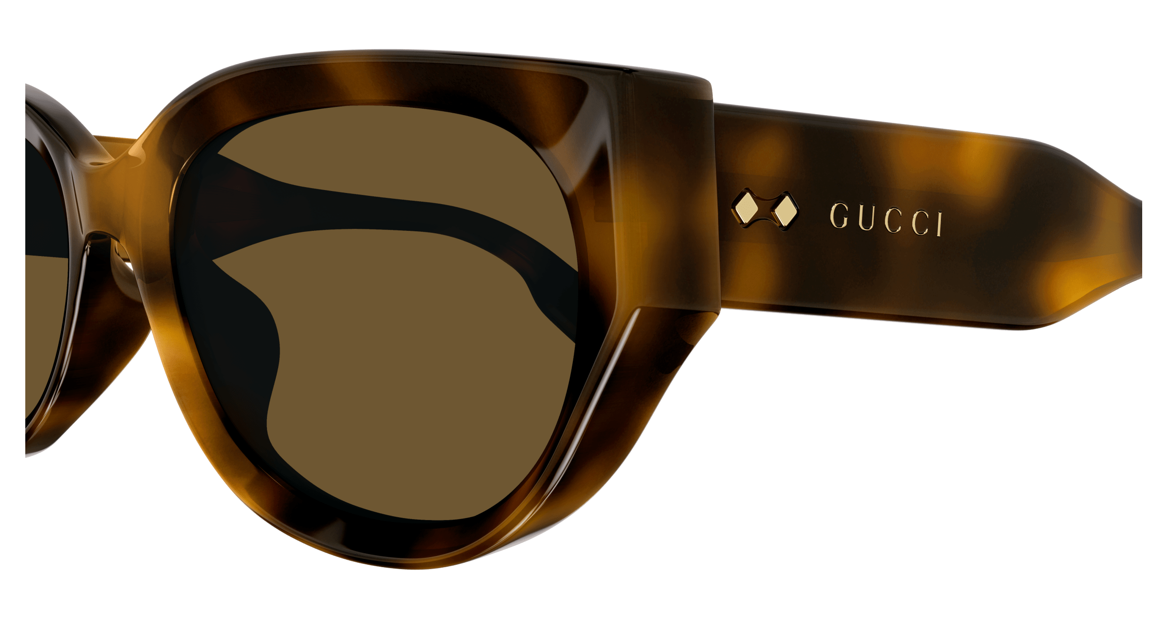 Havana Sunglasses Gucci 889652473451