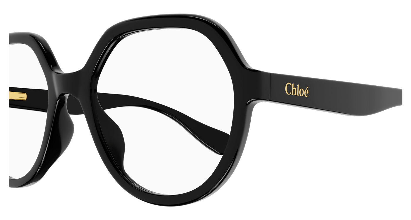 Chloe CC0020O Eyeglasses 889652485171
