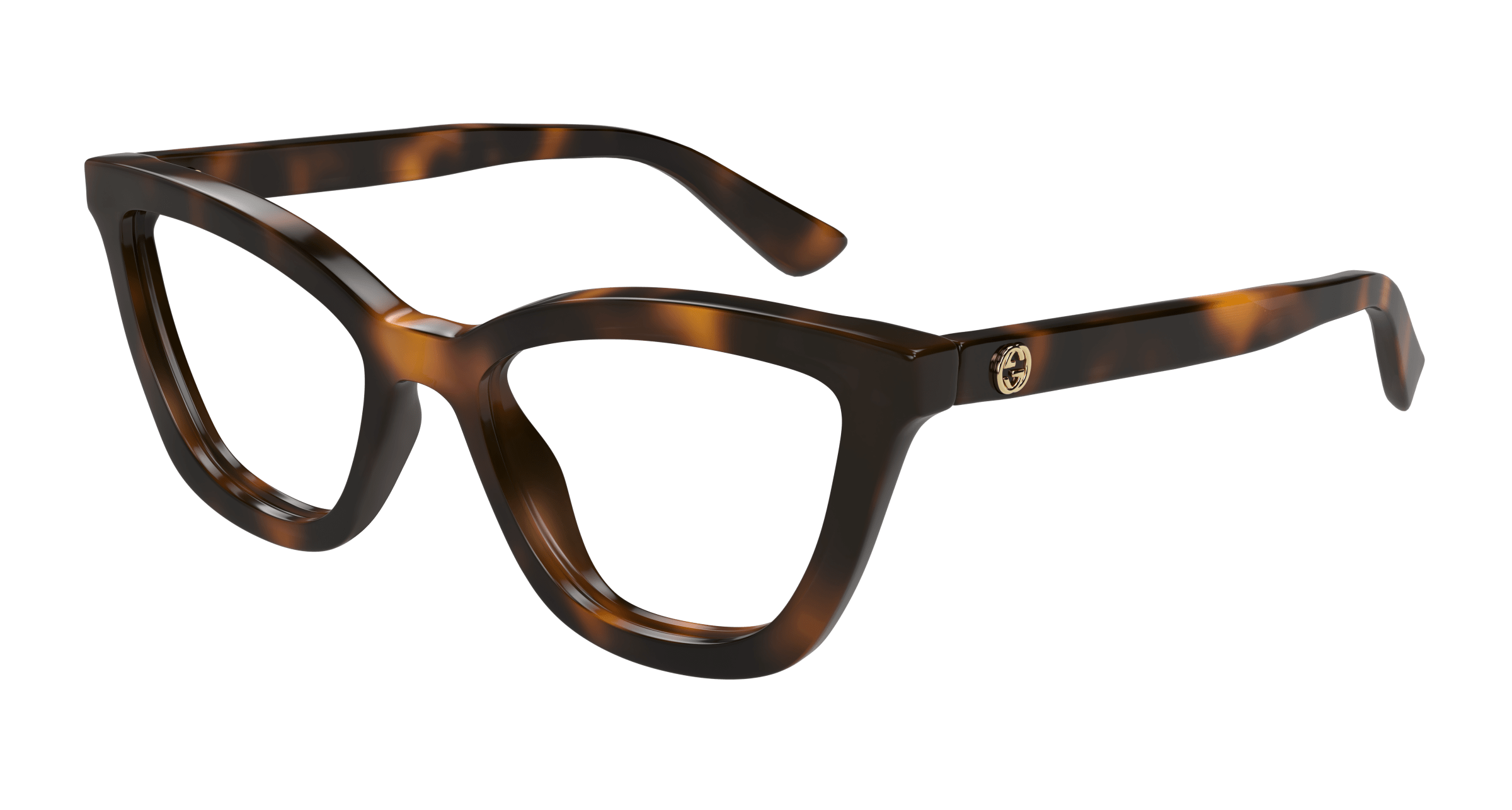 Havana Eyeglasses Gucci 889652500560