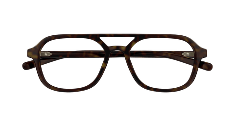 Havana Eyeglasses Gucci 889652498720