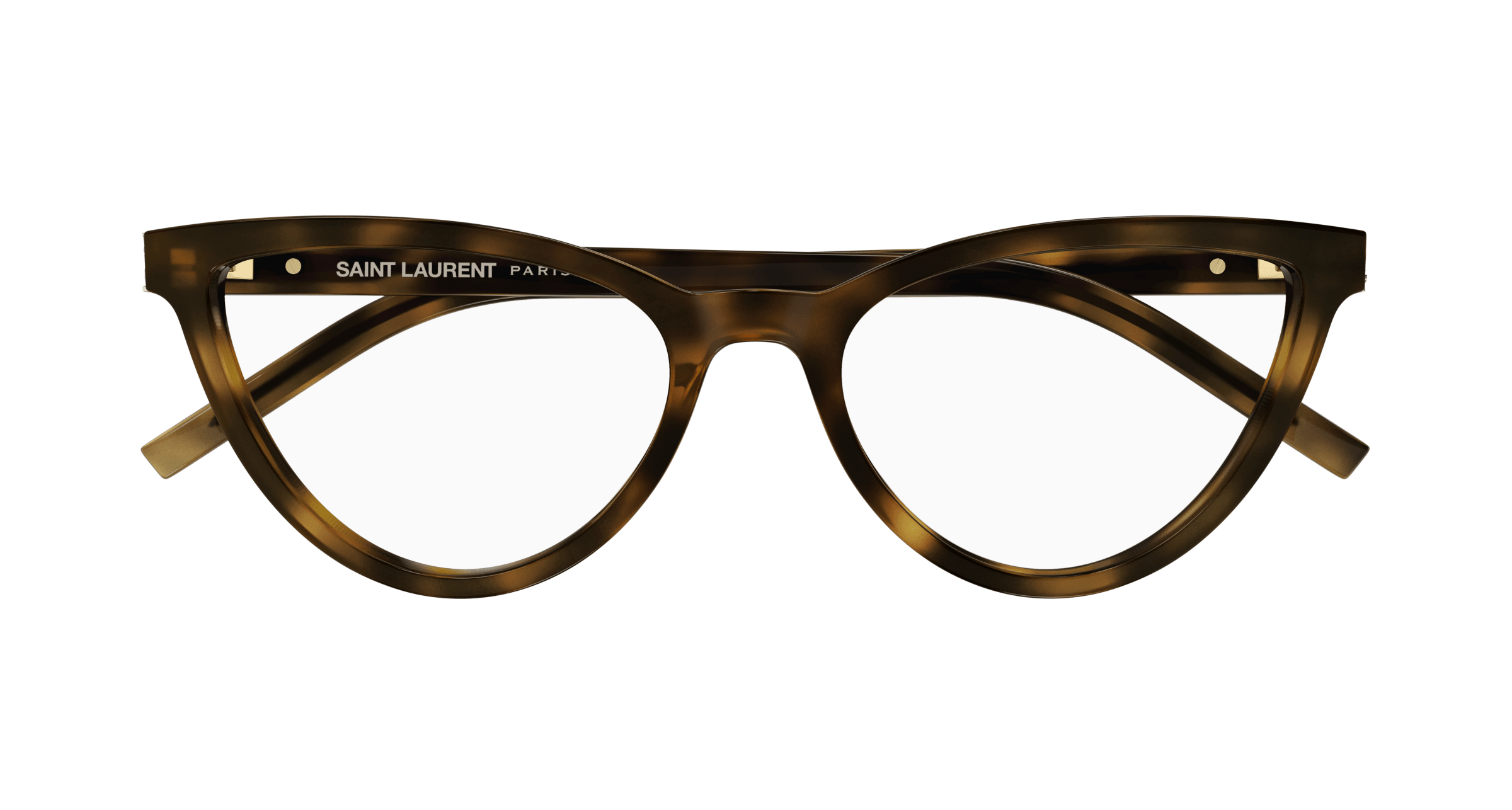 Havana Eyeglasses Saint Laurent 889652521381