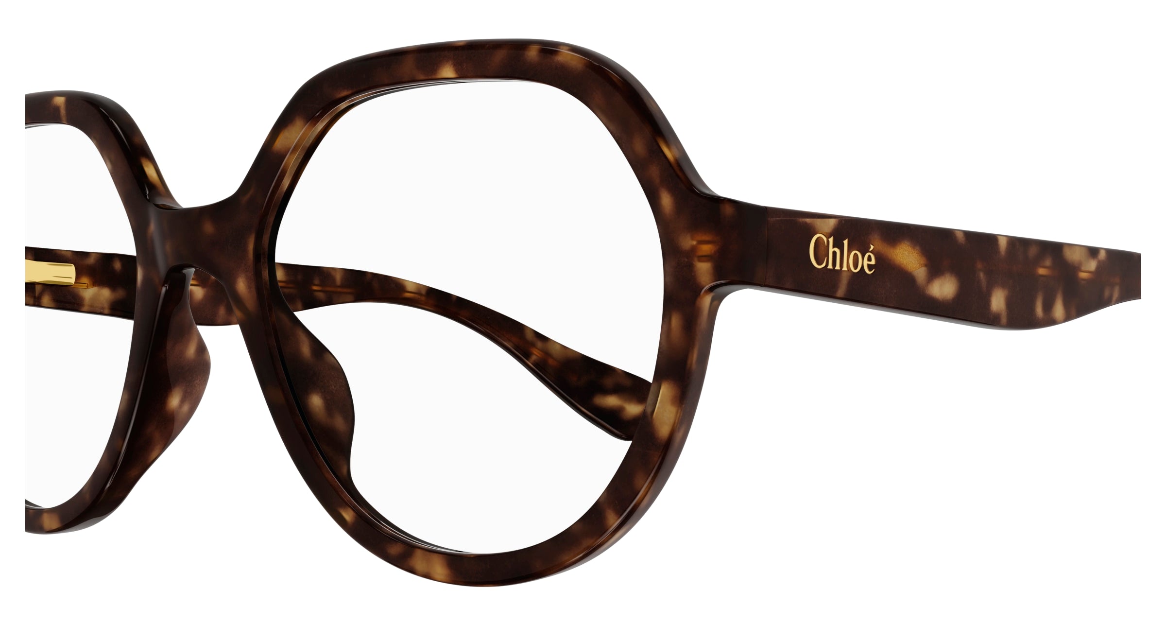 Chloe CC0020O Eyeglasses 889652485119