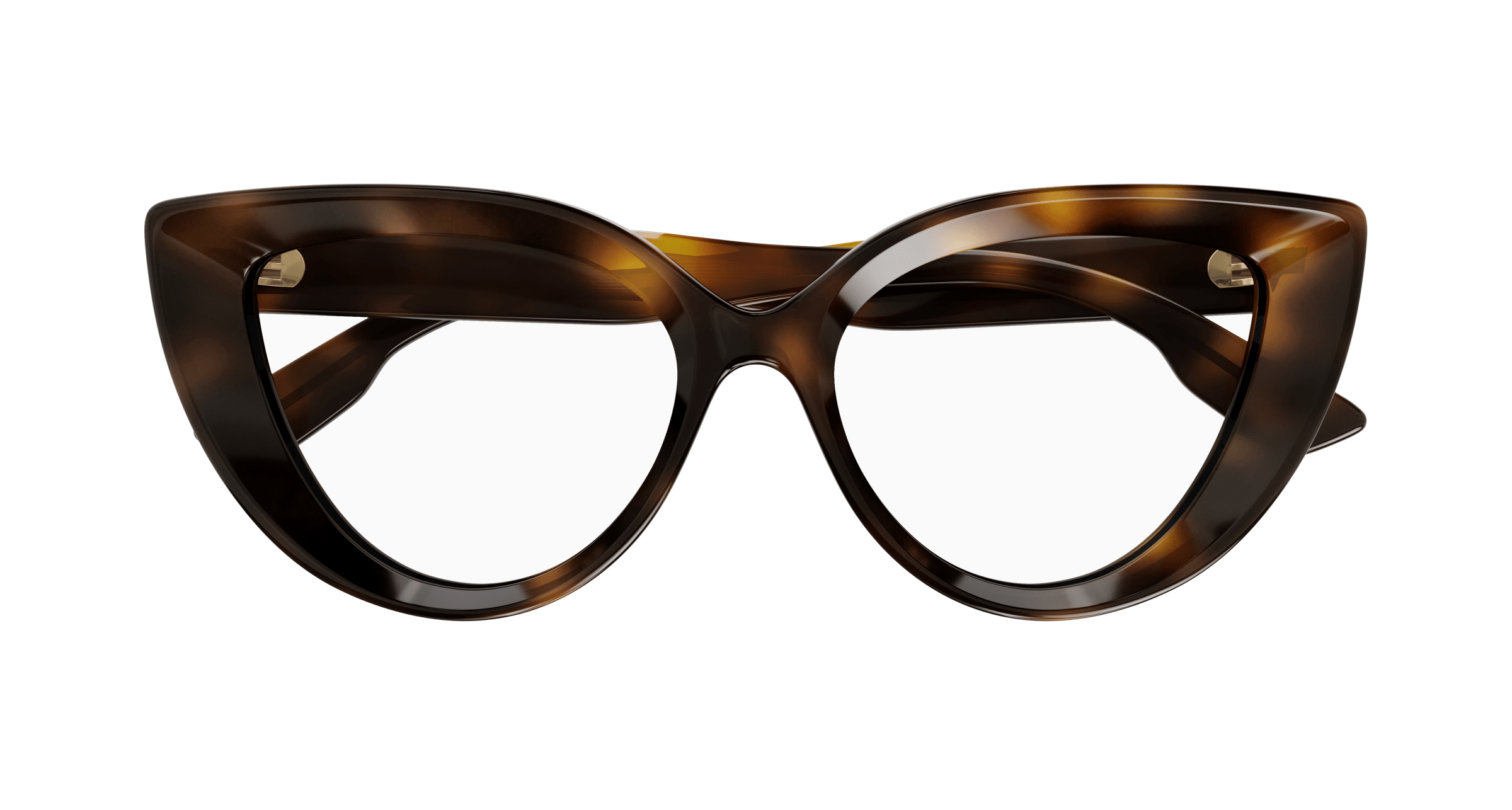 Havana Eyeglasses Gucci 889652467160