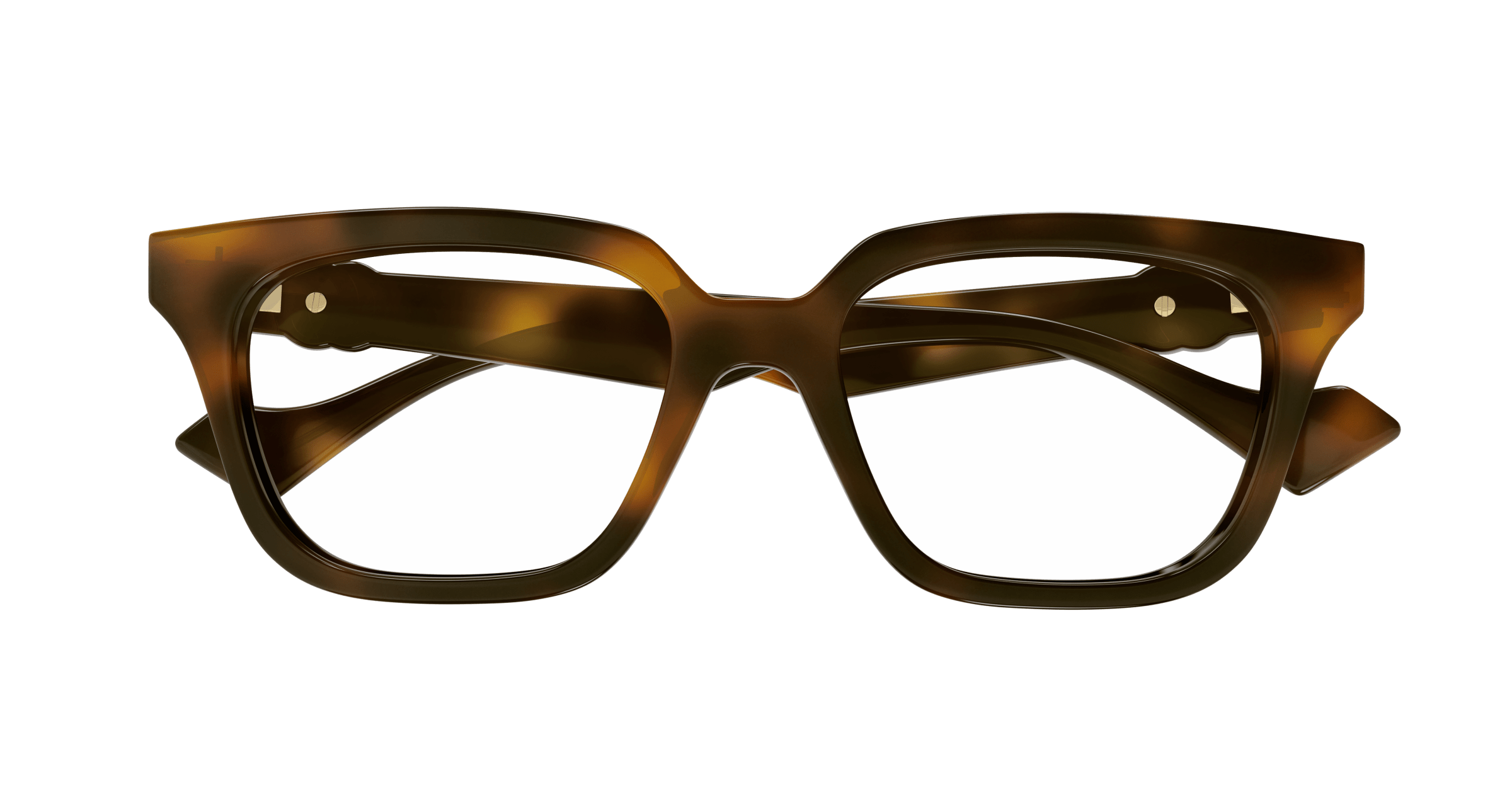 Gucci GG1536O Havana 889652472188