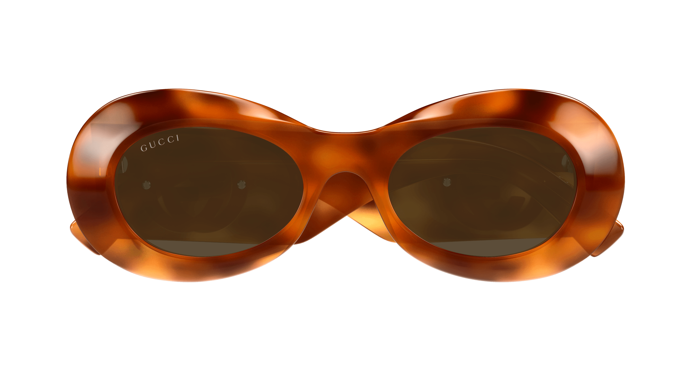 Havana Sunglasses Gucci 889652499574