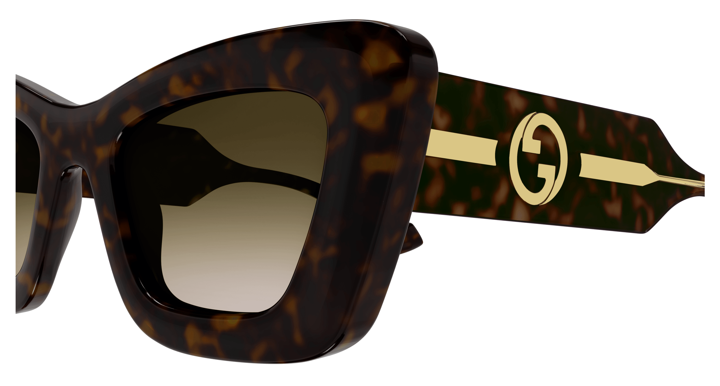 Havana Sunglasses Gucci 889652469492