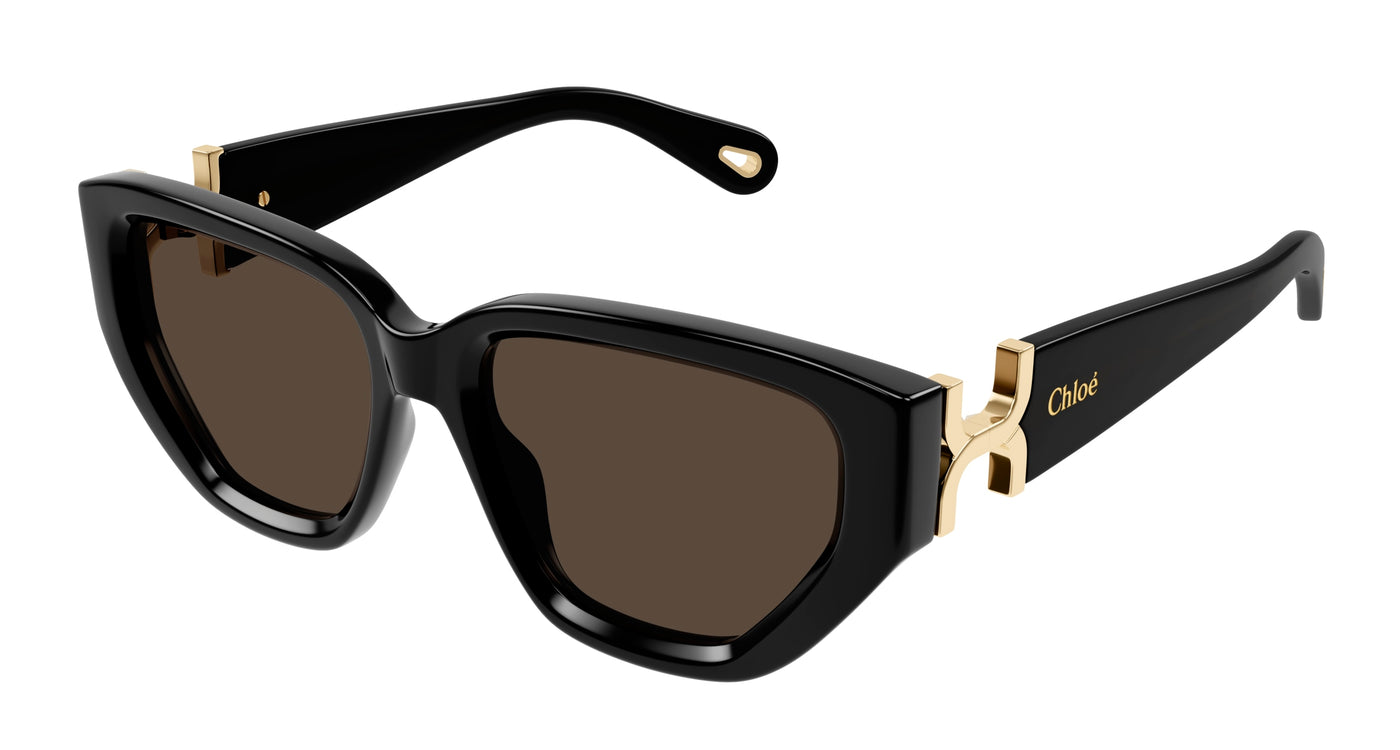 Chloe CH0235S Sunglasses 889652482880