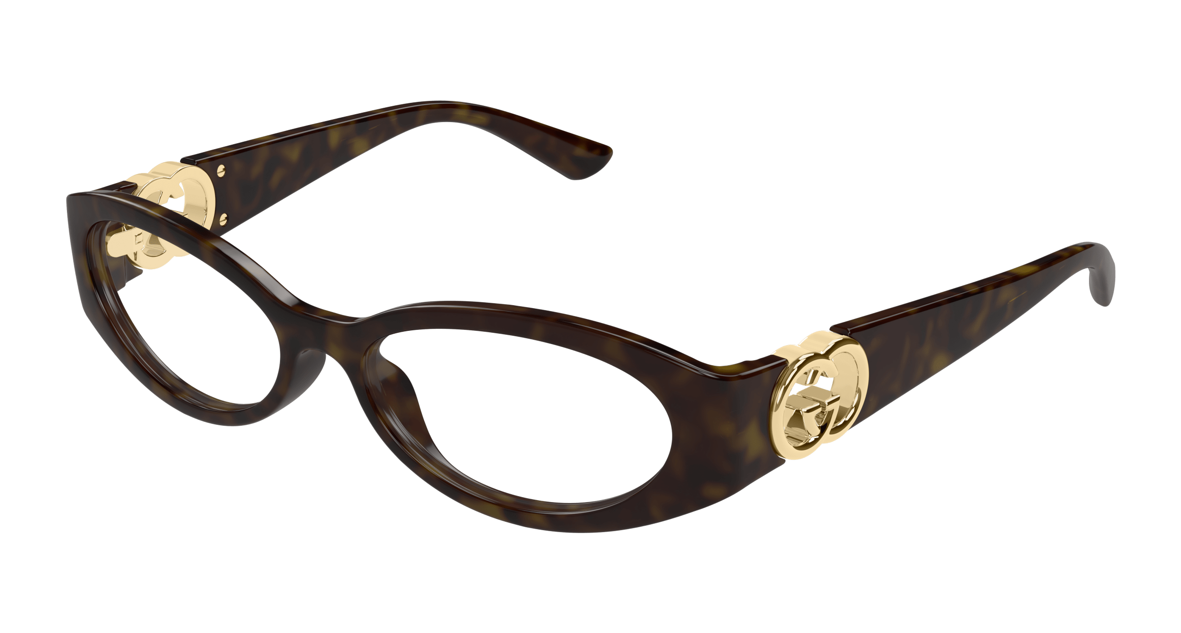 Havana Eyeglasses Gucci 889652499031