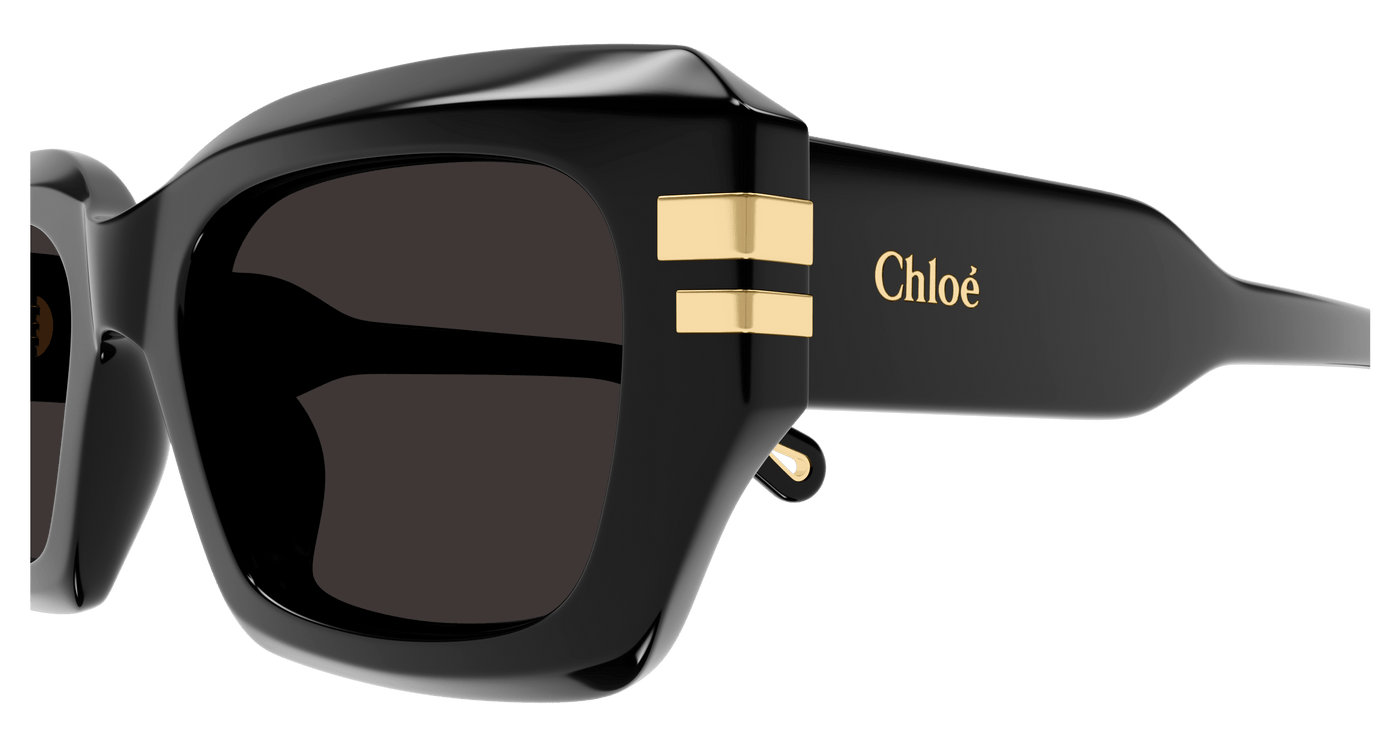Chloe CH0256S Sunglasses 889652514680