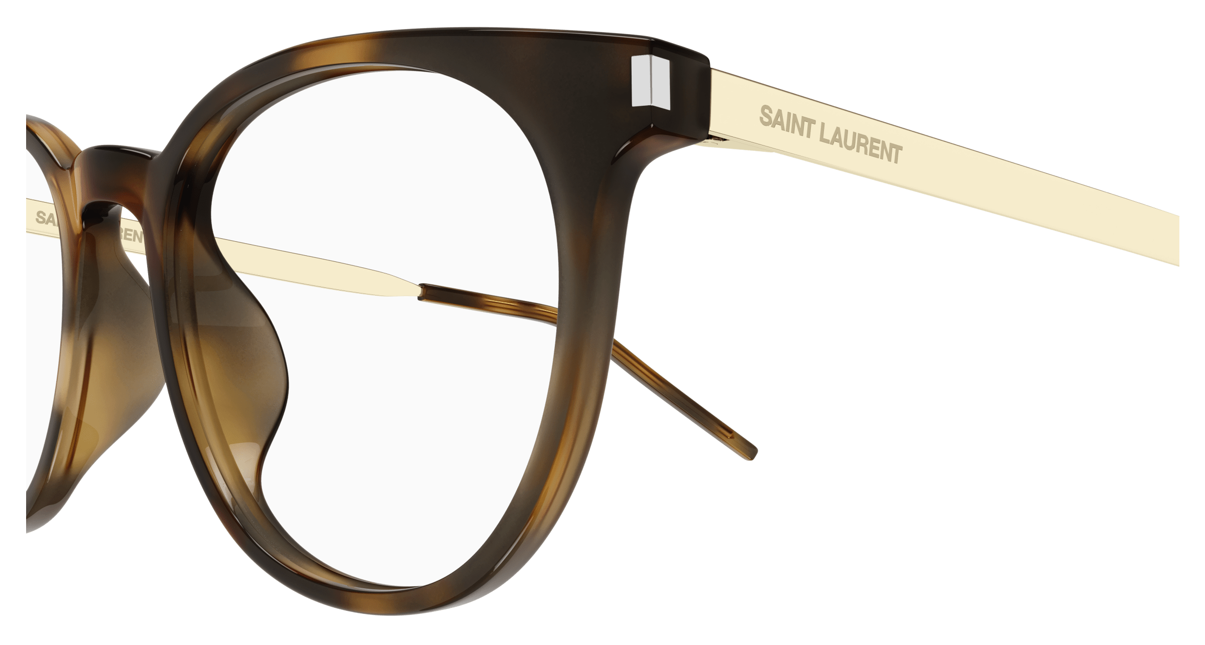 Havana Eyeglasses Saint Laurent 889652487427