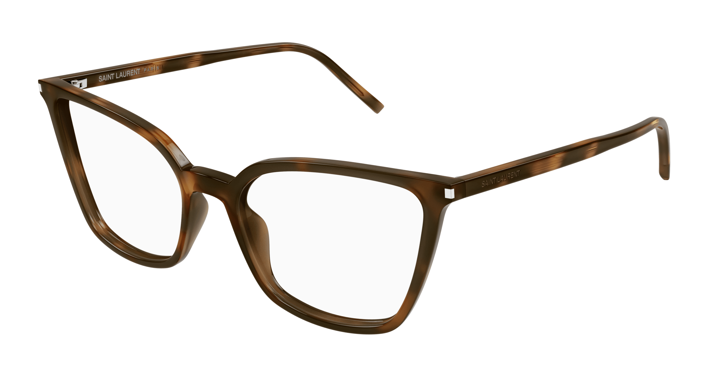 Havana Eyeglasses Saint Laurent 889652487199