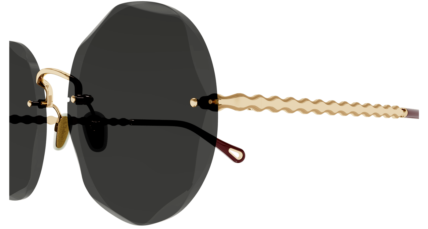 Chloe CH0254S Sunglasses 889652514192